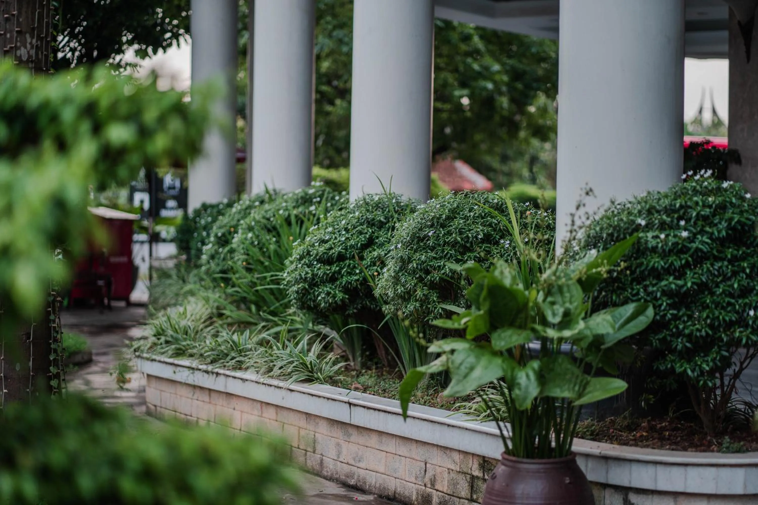 Spring in MAY PLAZA HOTEL