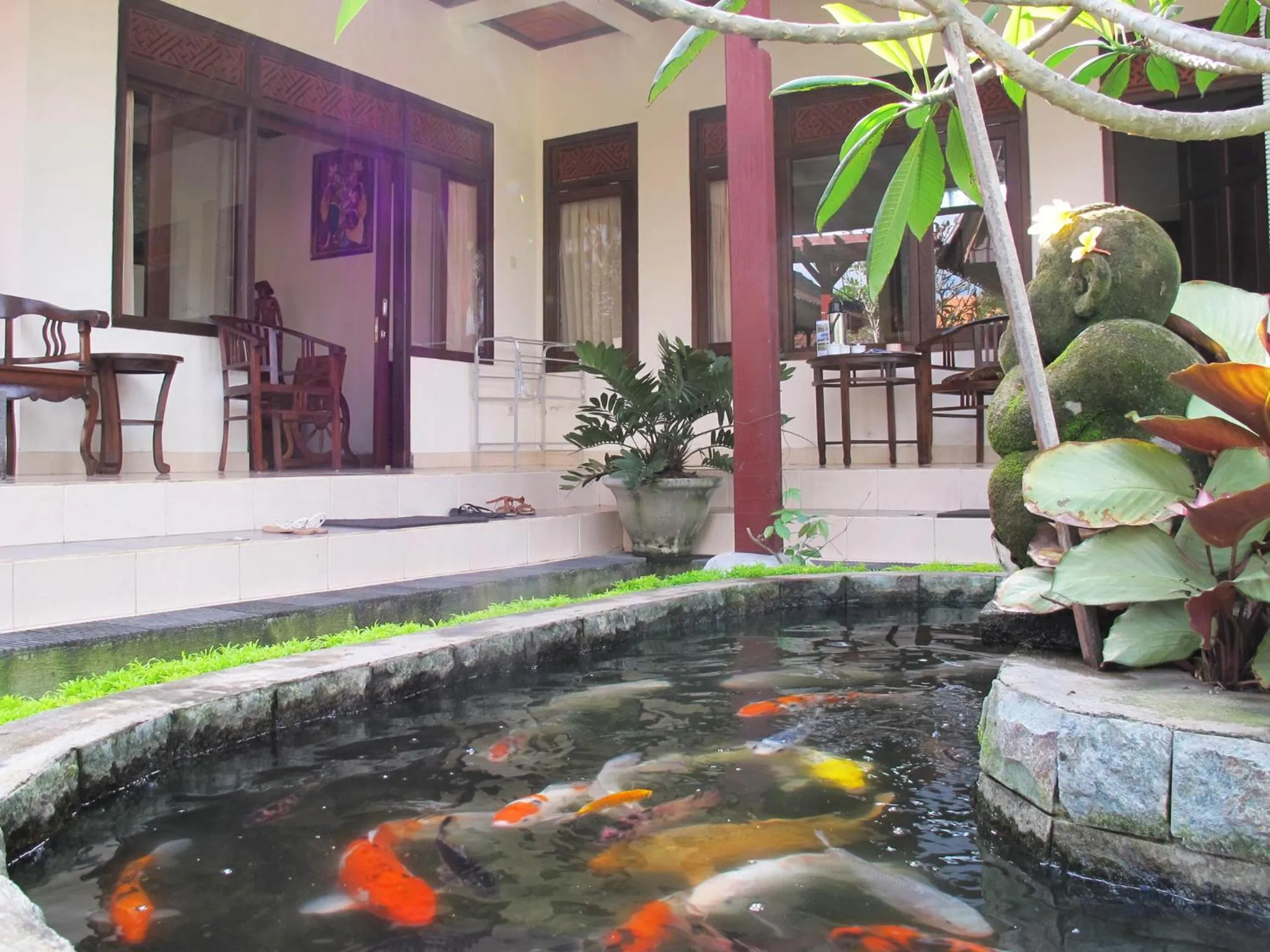 Area and facilities in Bucu Guest House