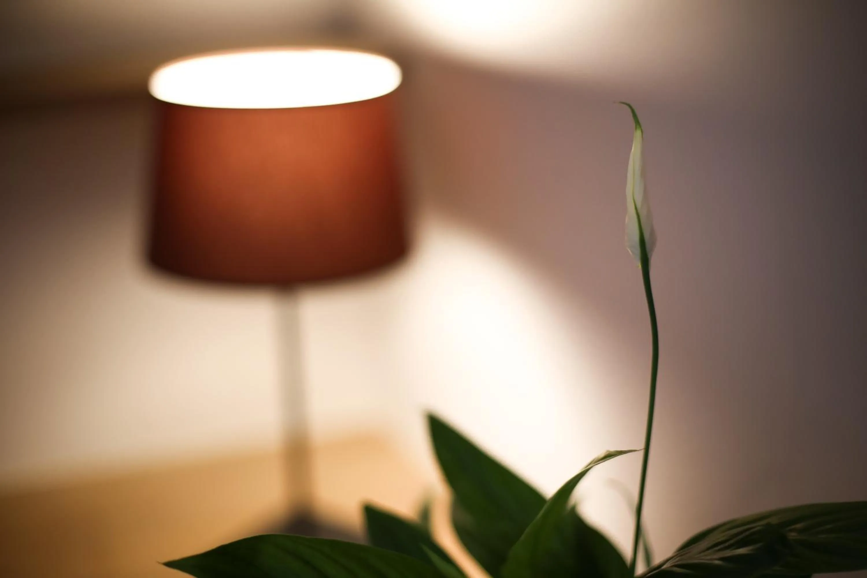 Decorative detail in Val Lachard