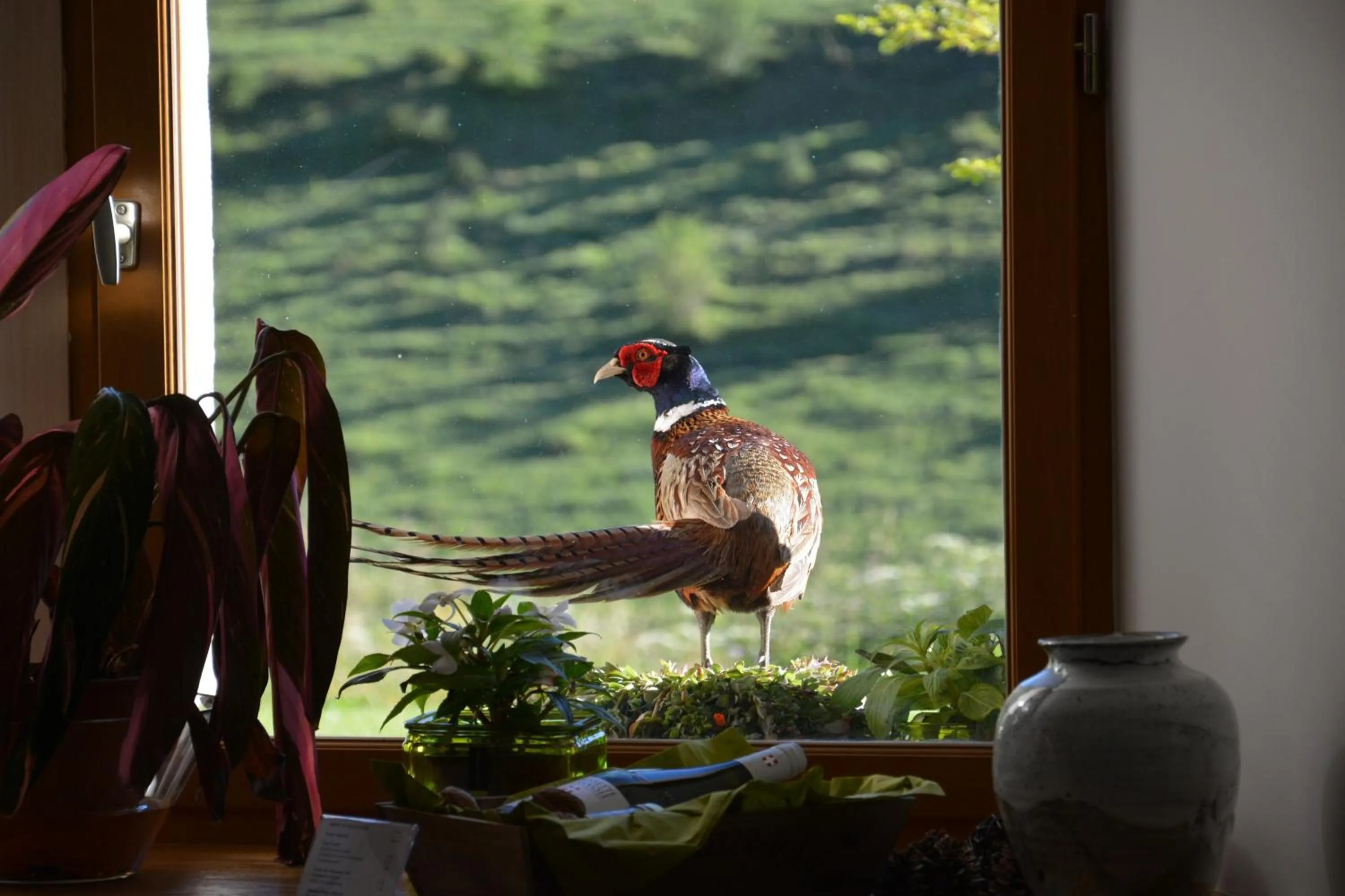 Property building in Val Lachard