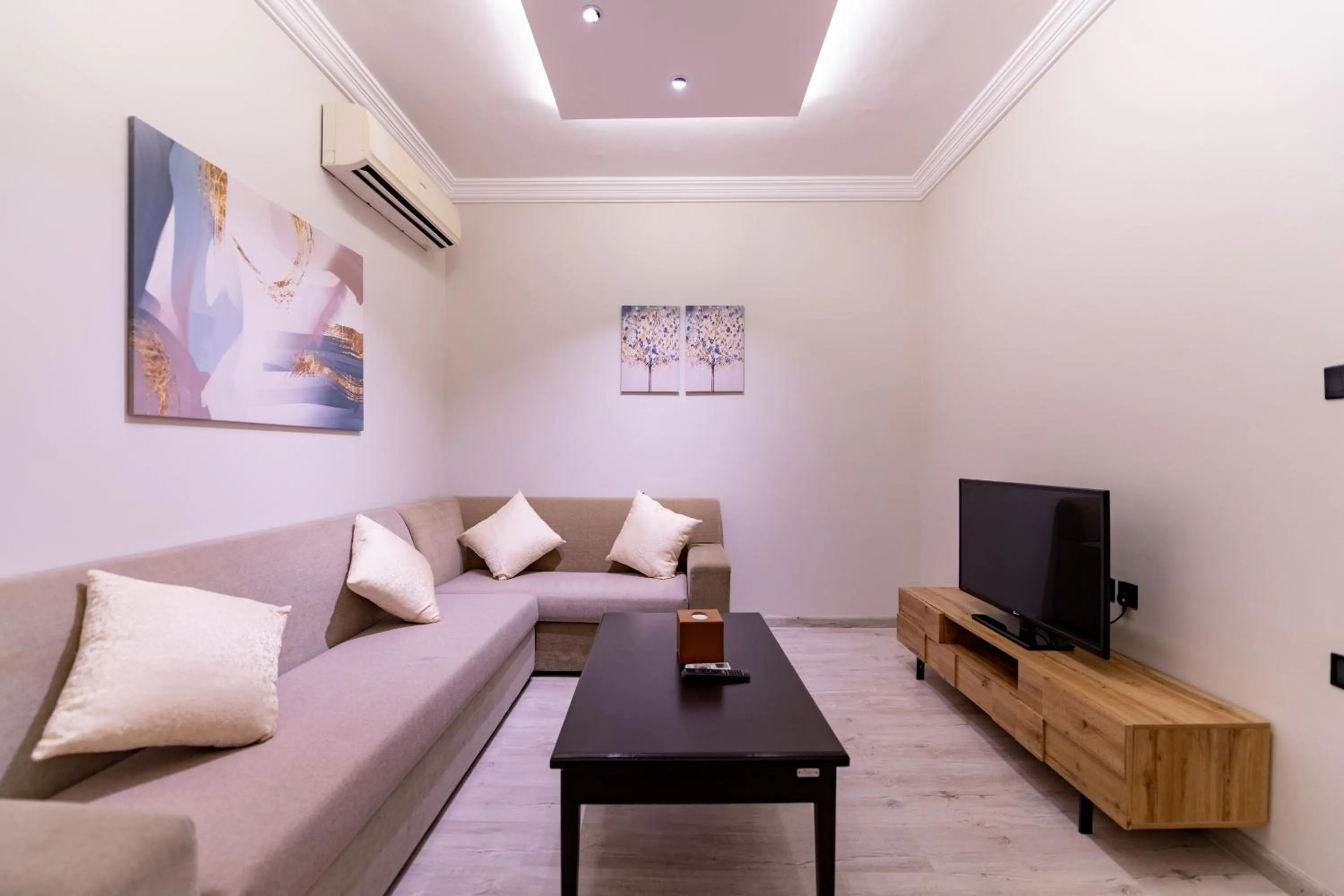 TV and multimedia in Meral Oasis Resort Taif