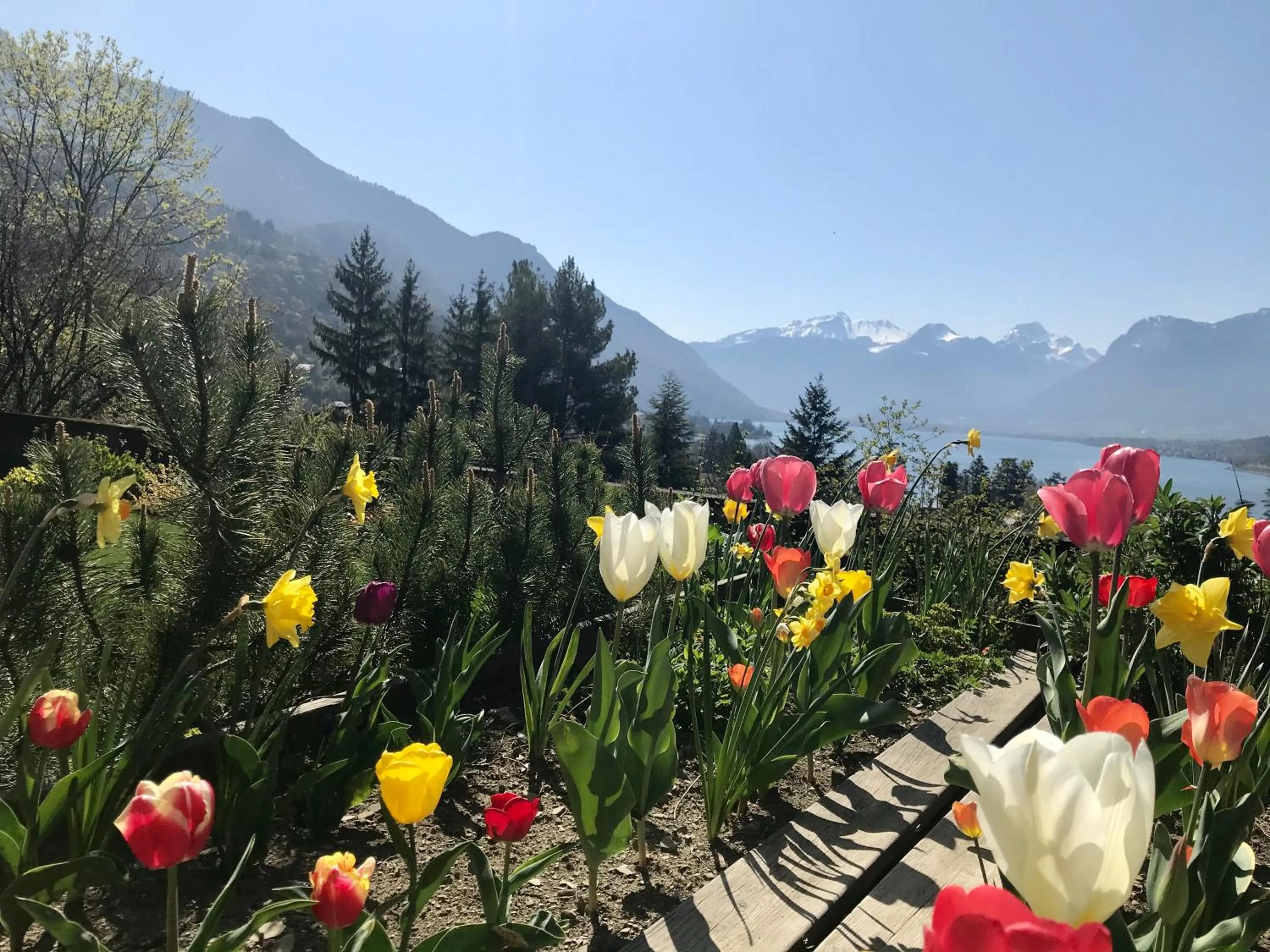 Garden in Chalet Christine