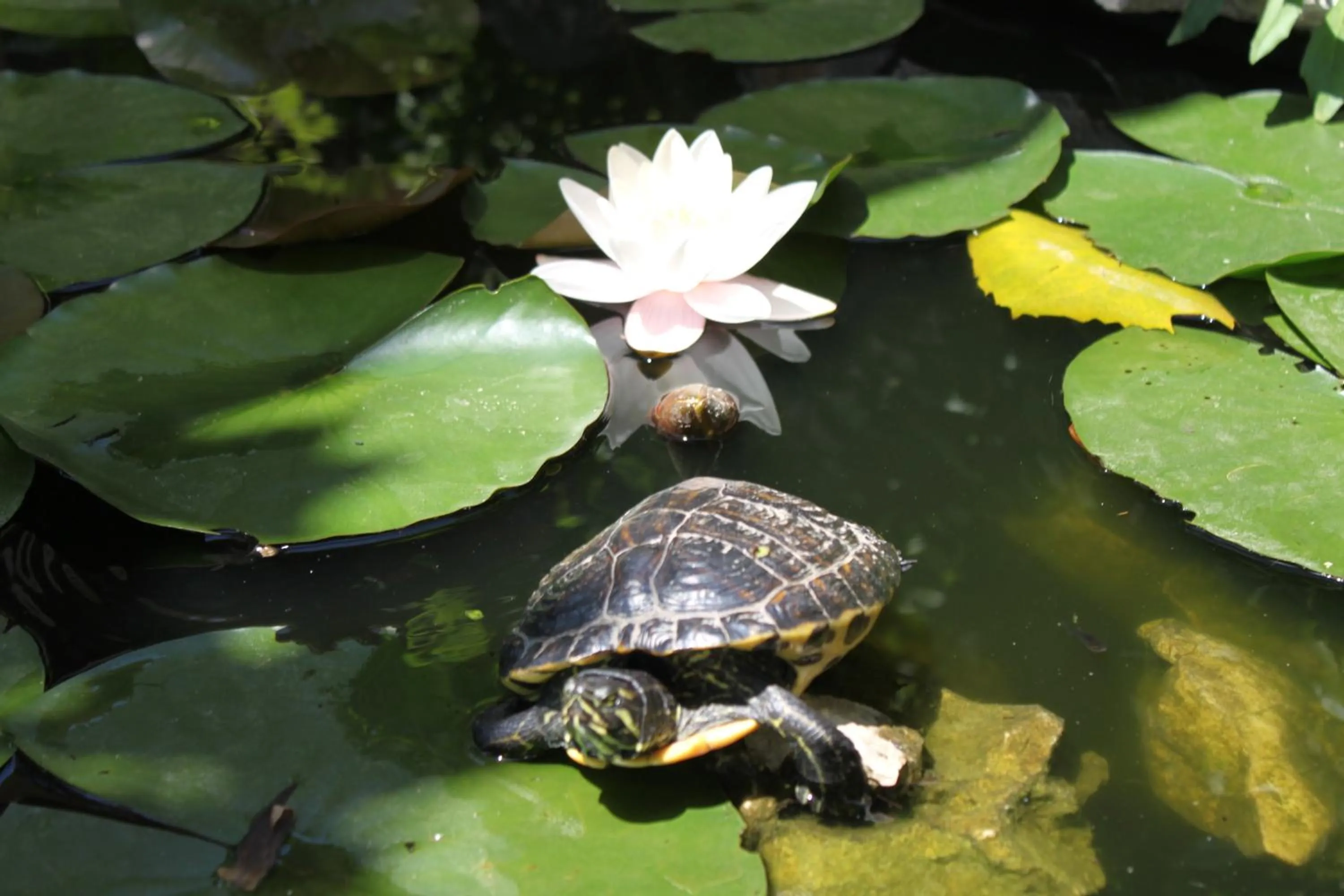 Other in Le Mas de Bertagne