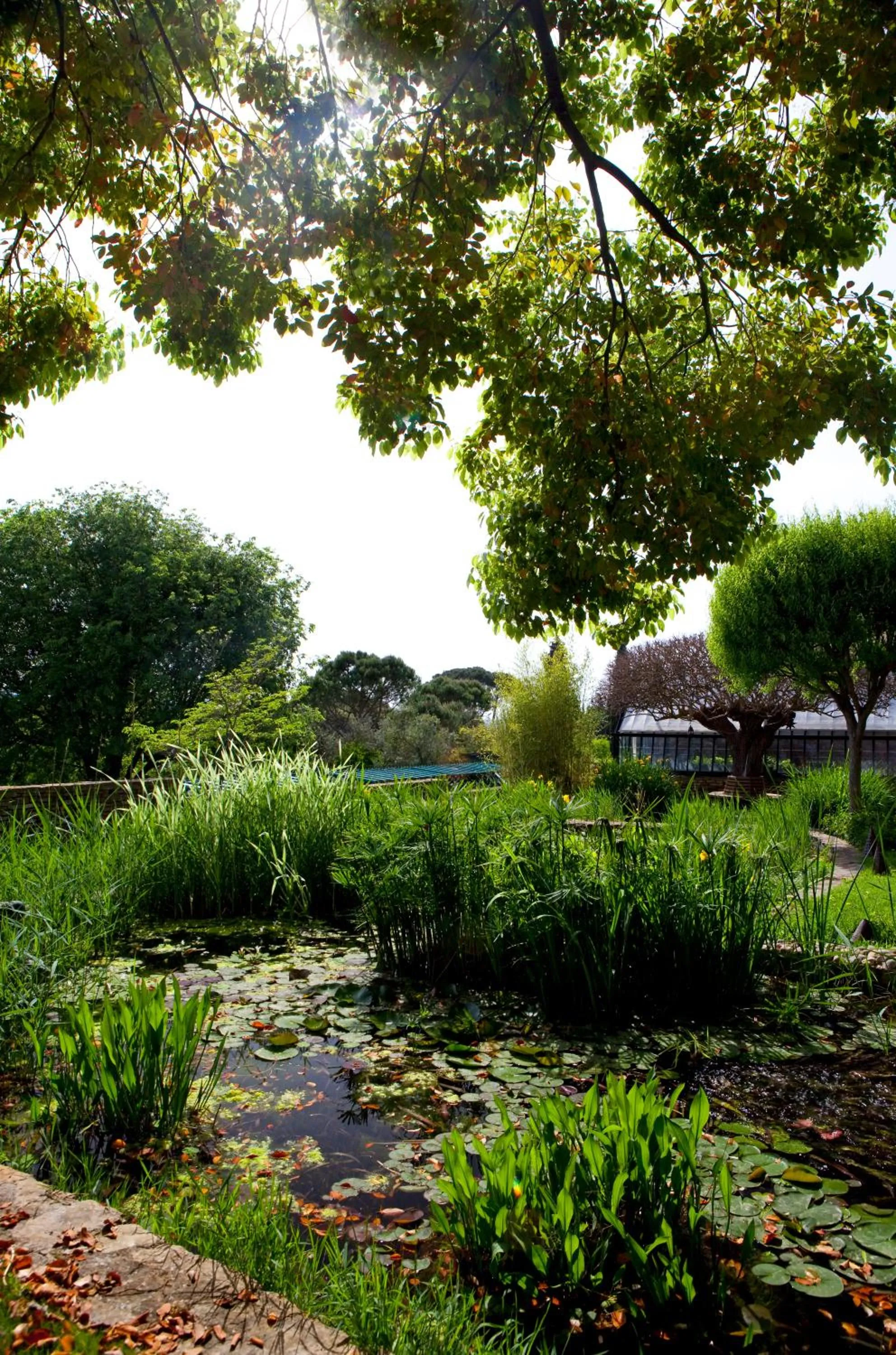 Garden in Hotel Torre di Bellosguardo