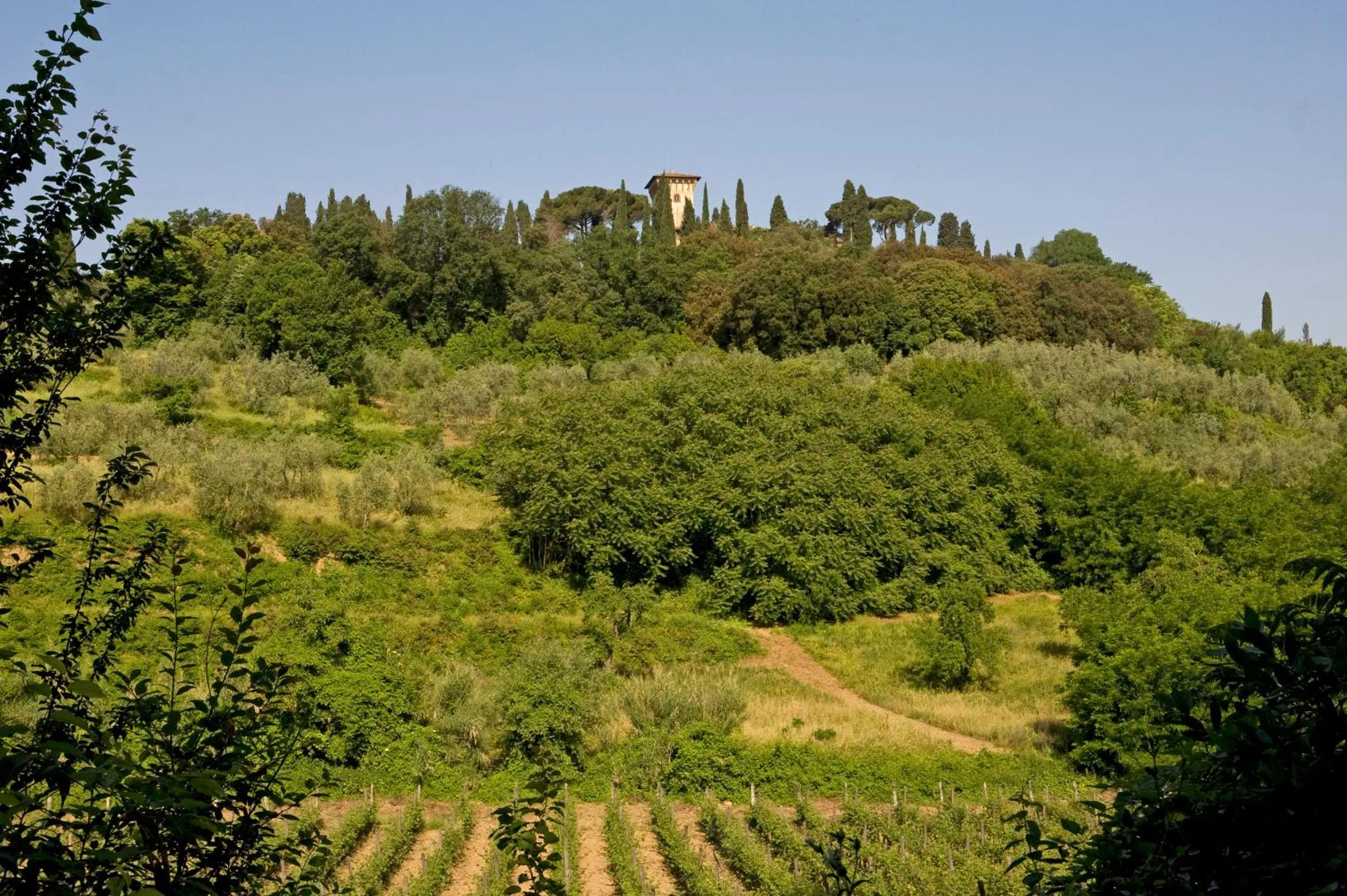 View (from property/room) in Hotel Torre di Bellosguardo