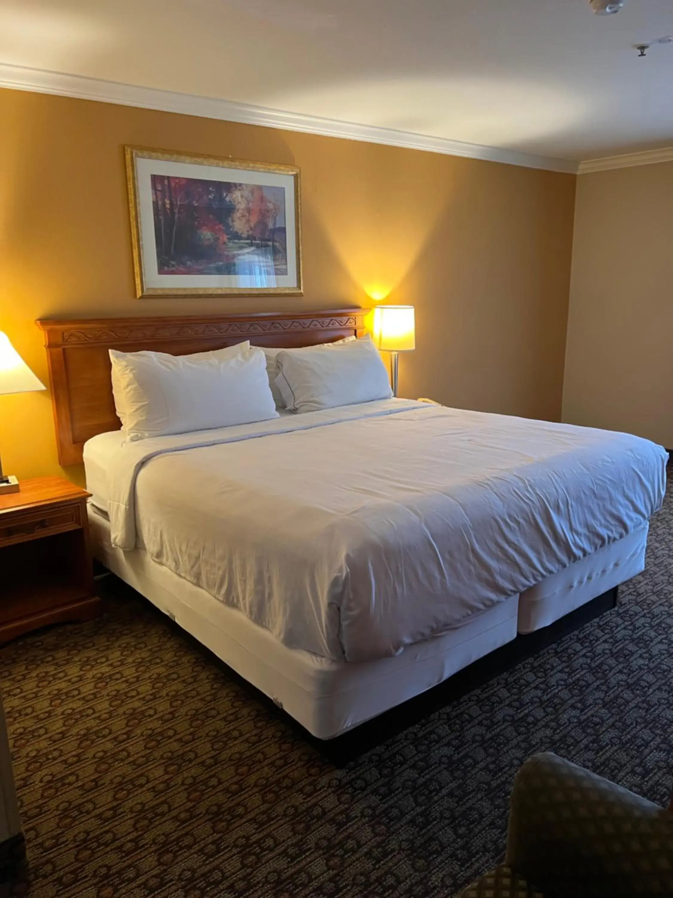 King Room in Hotel Xola King Room in Hotel Xola