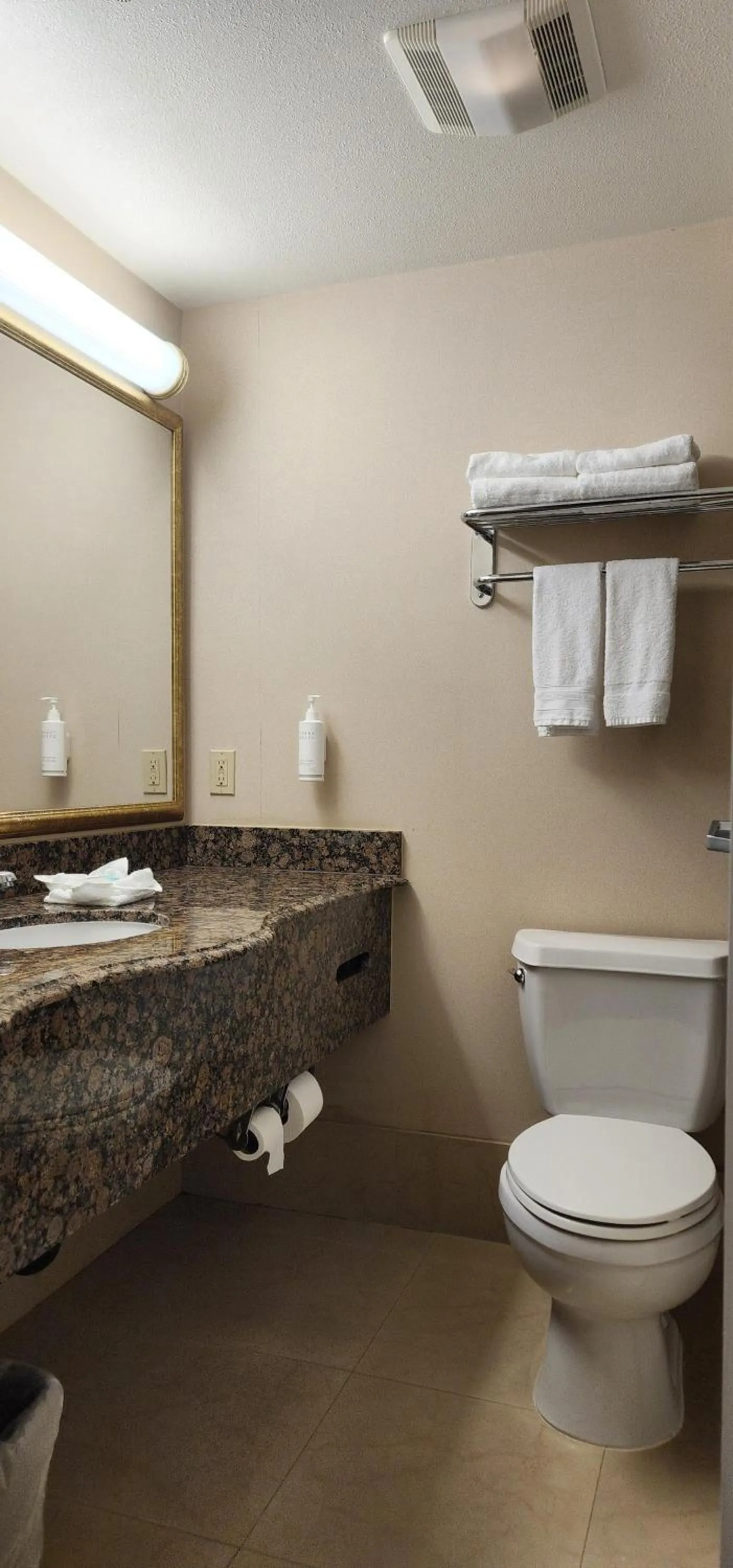 Toilet in Hotel Xola