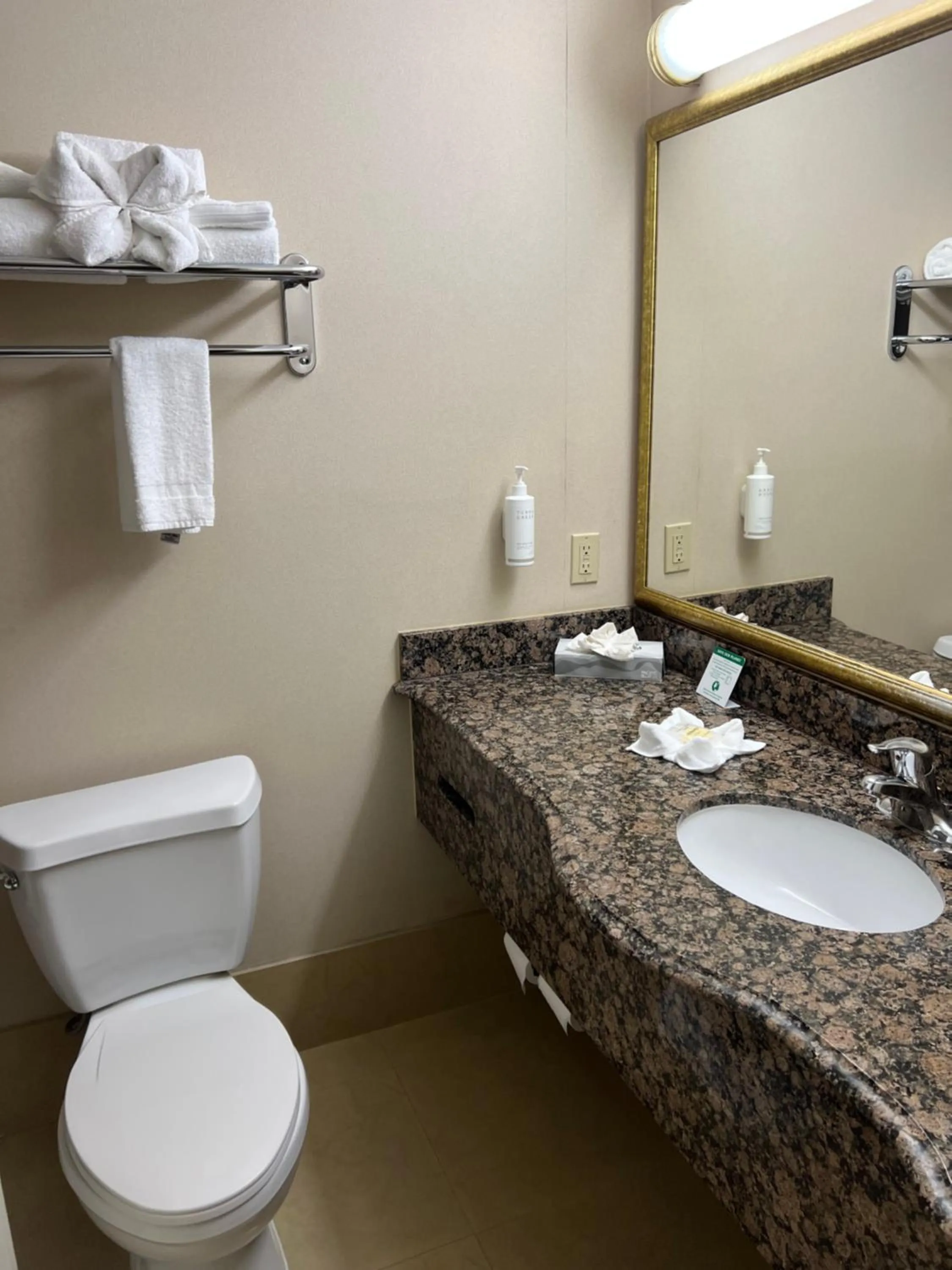 Bathroom in Hotel Xola