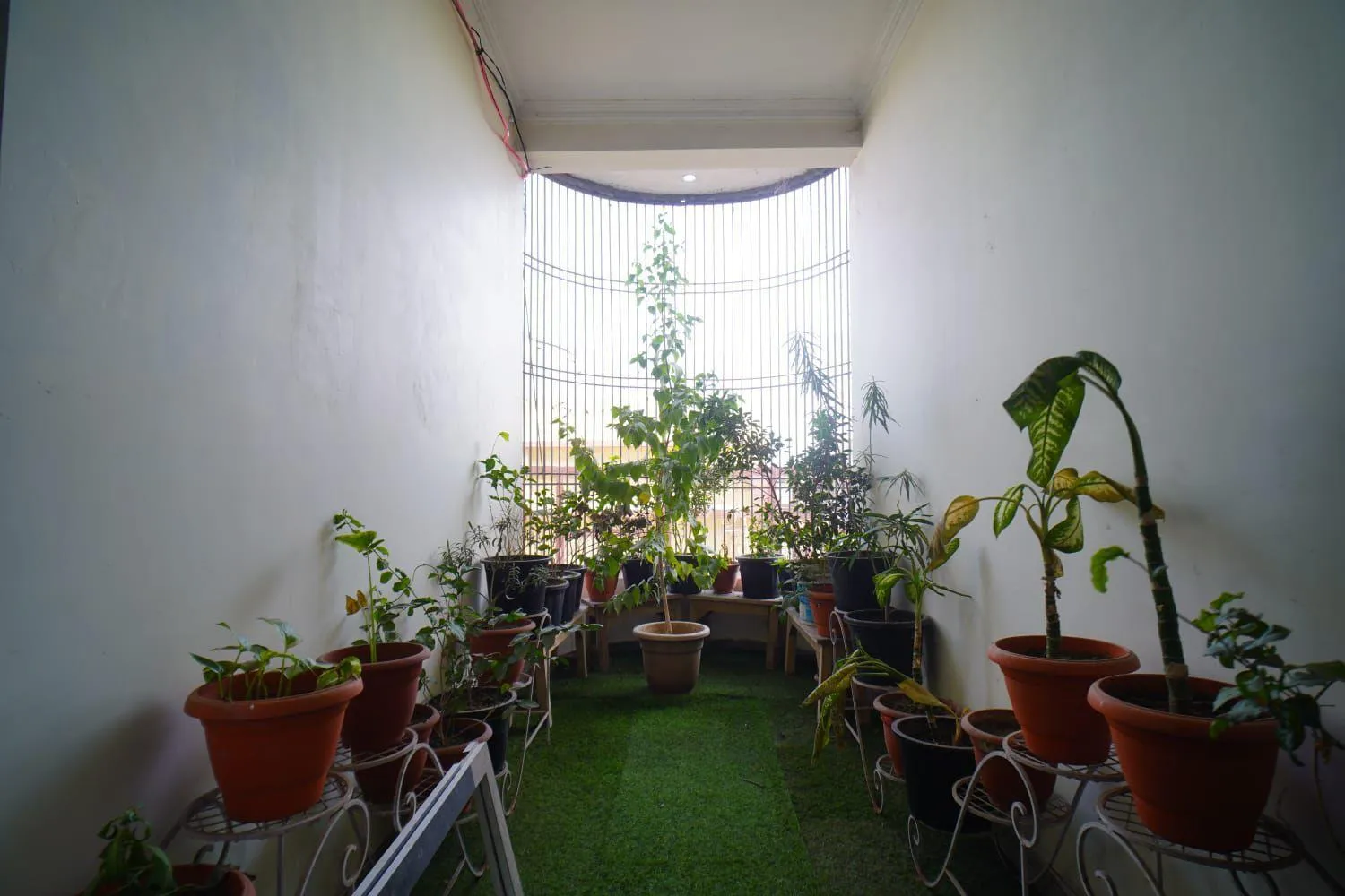 Shri Ram Paying Guest House Premium Rooms