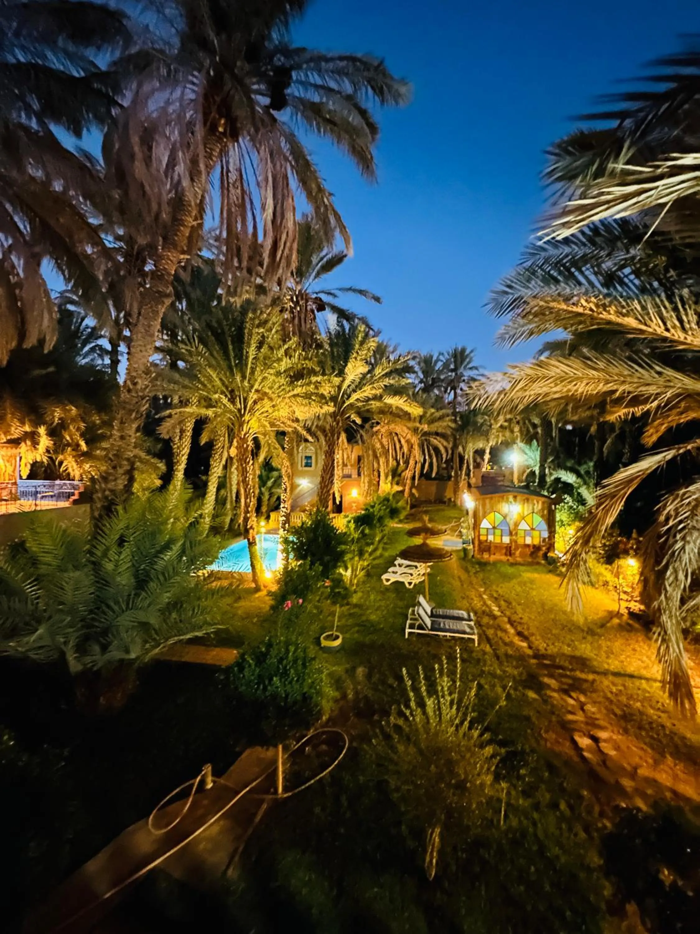 Garden in Riad Soleil du Monde