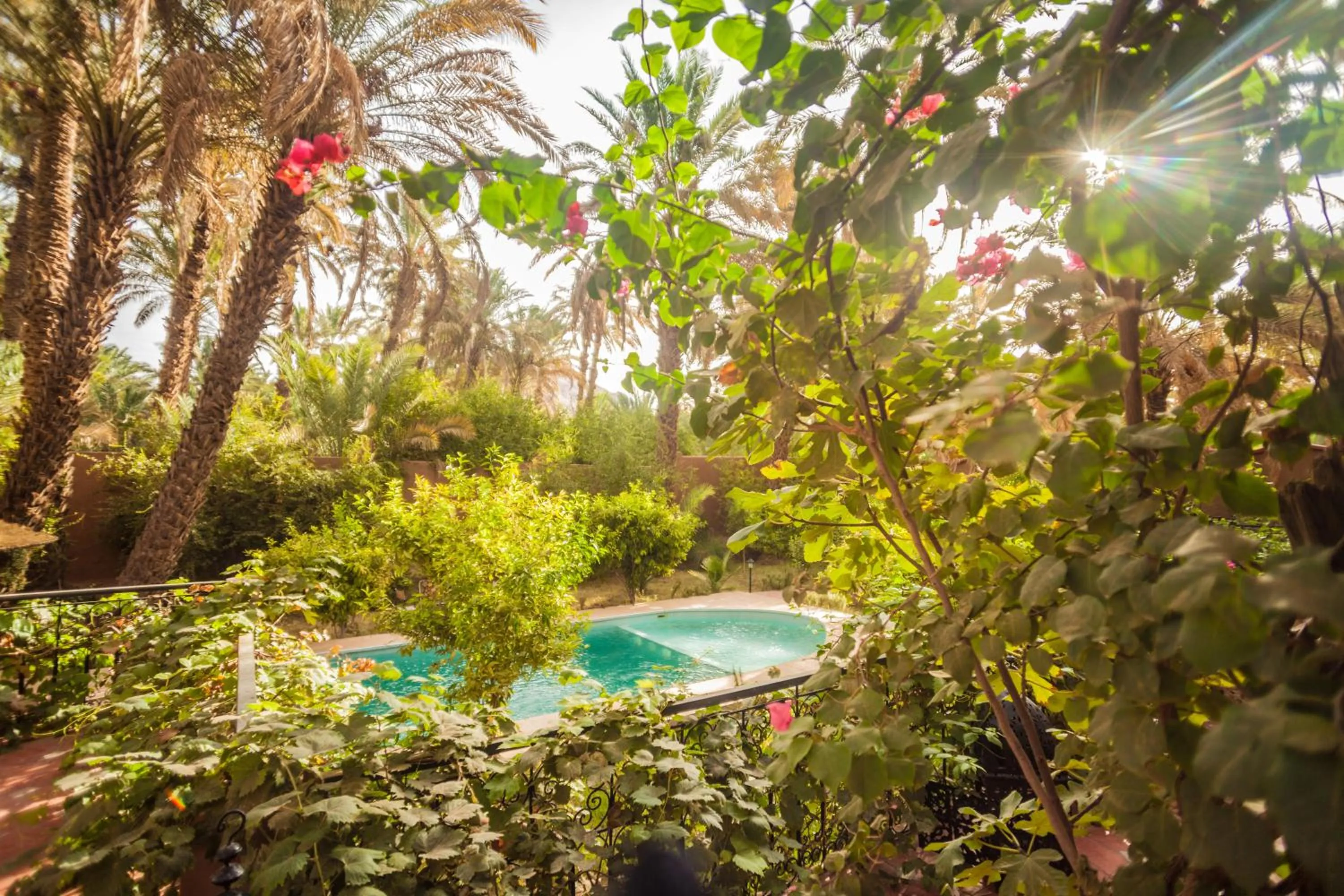 Swimming pool in Riad Soleil du Monde