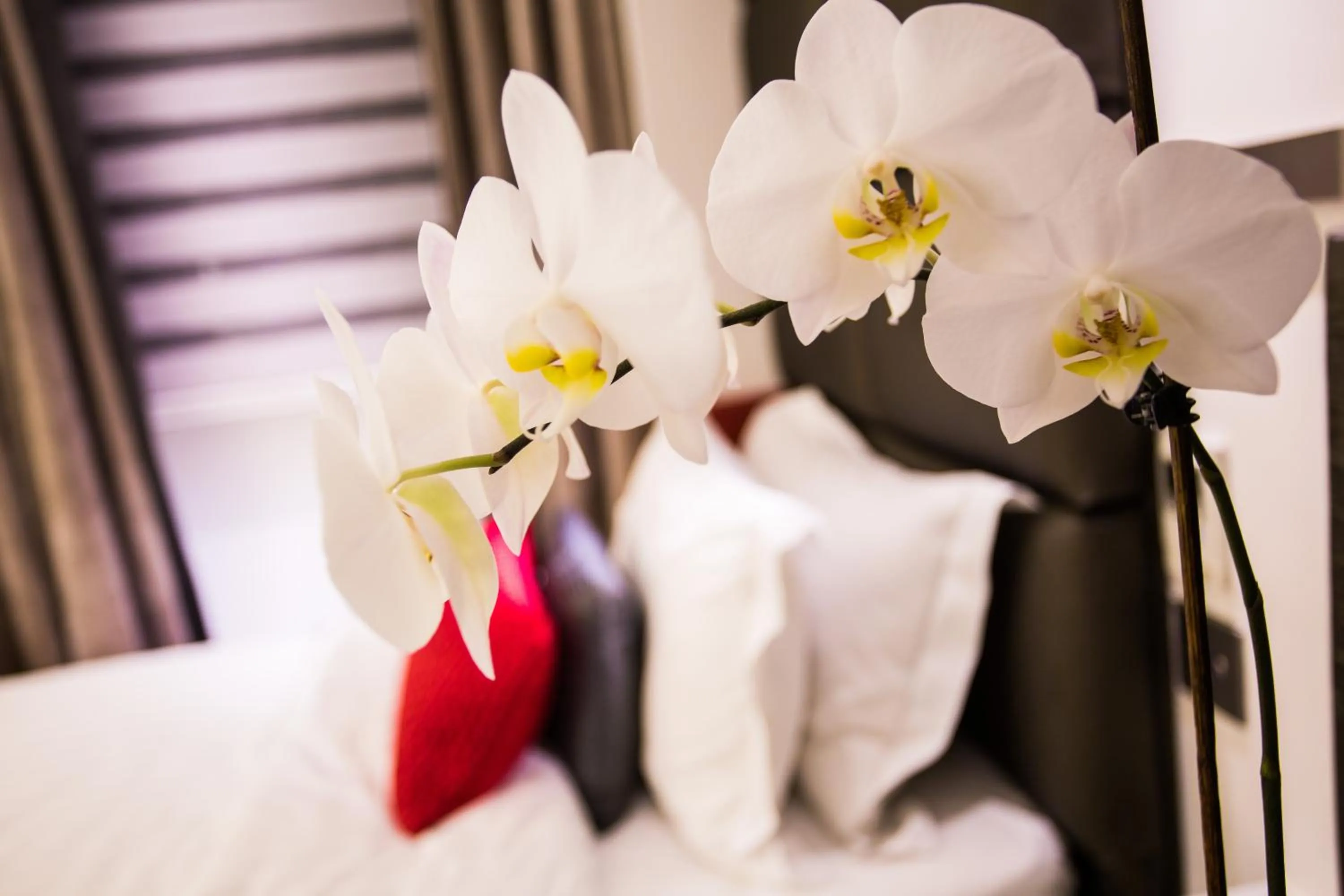 Bed in Henley House Hotel