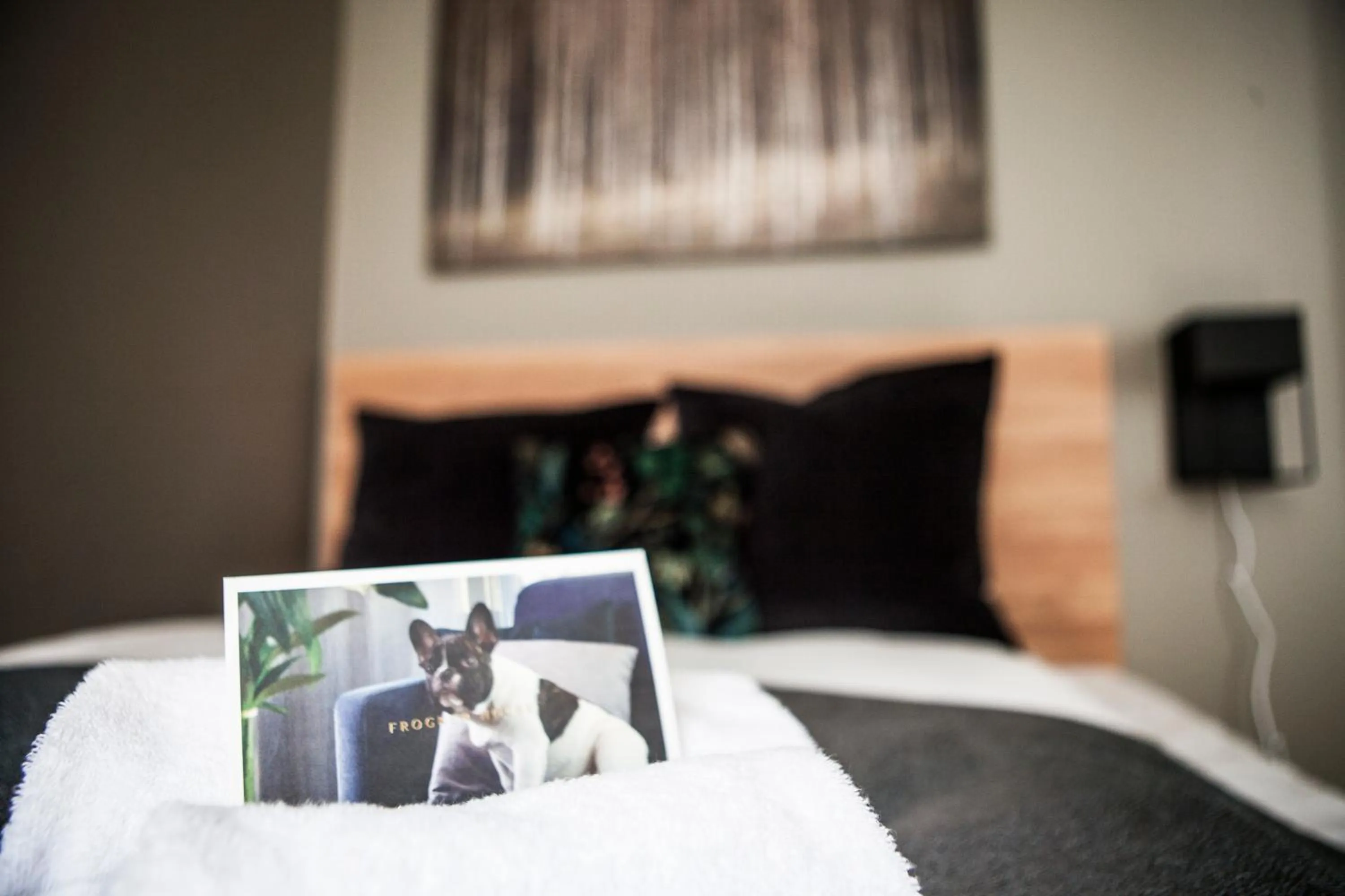 Pets, Bed in Frogner House - Nationaltheatret