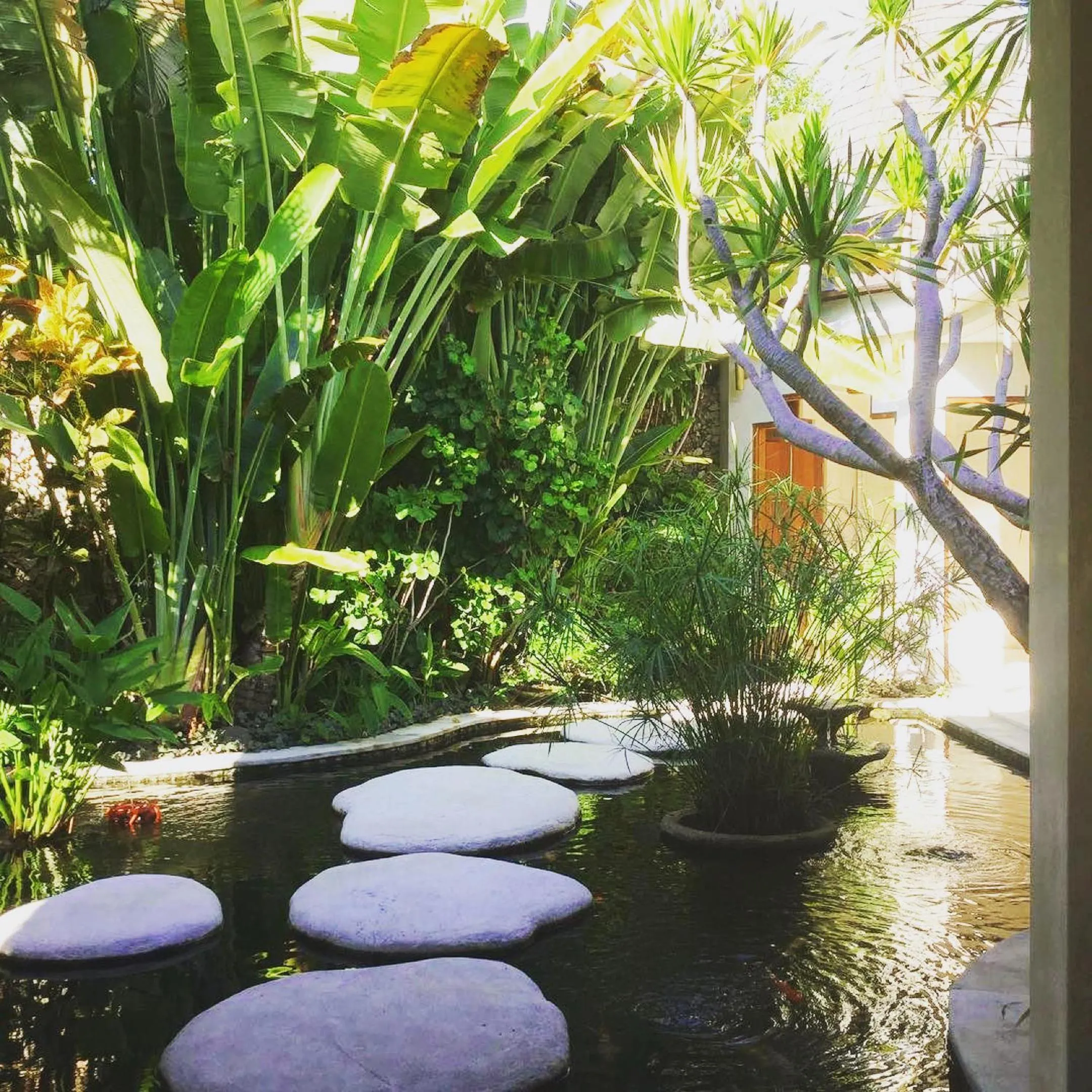 Garden in Villa Kubu Seminyak