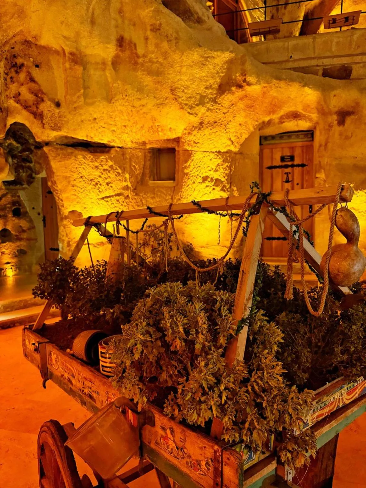 Property building in My Cave Suites