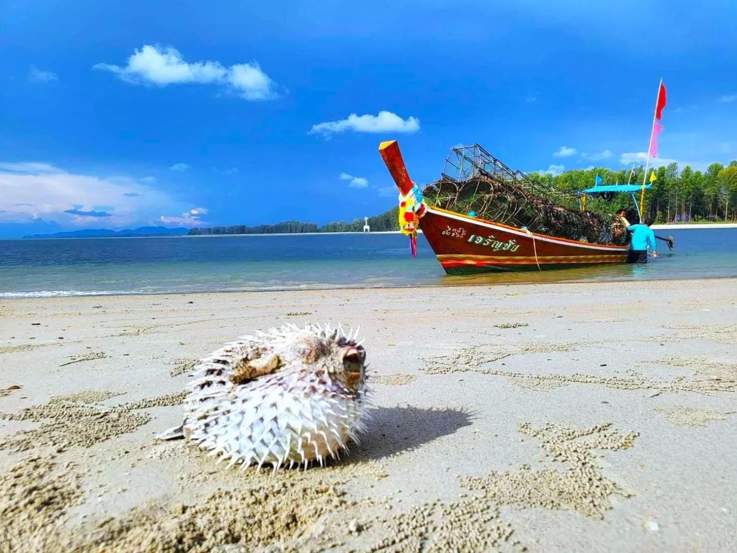 Day in Lanta MP Place - Adult Only