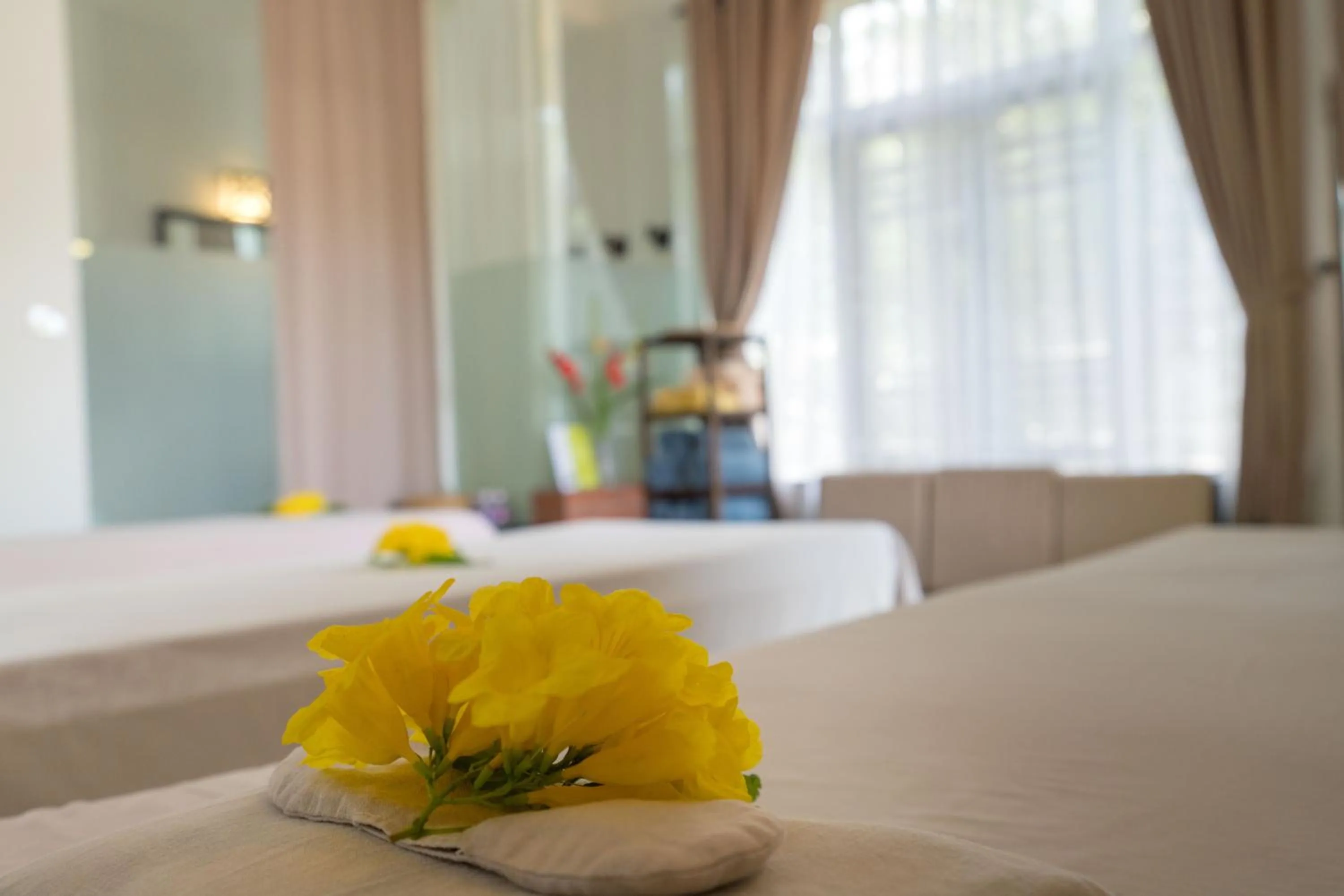 Spa and wellness centre/facilities, Bed in East West Villa