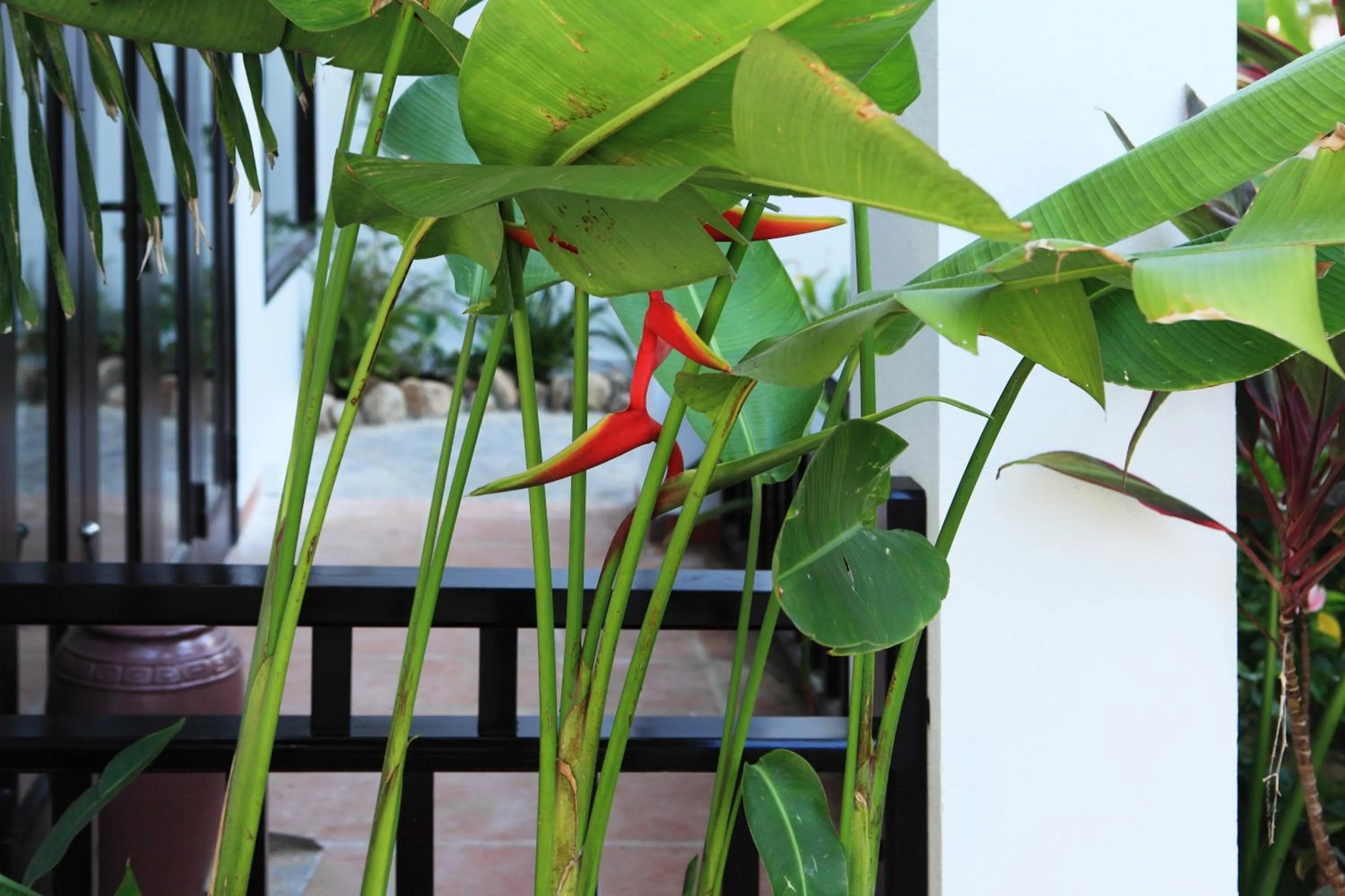 Other in East West Villa