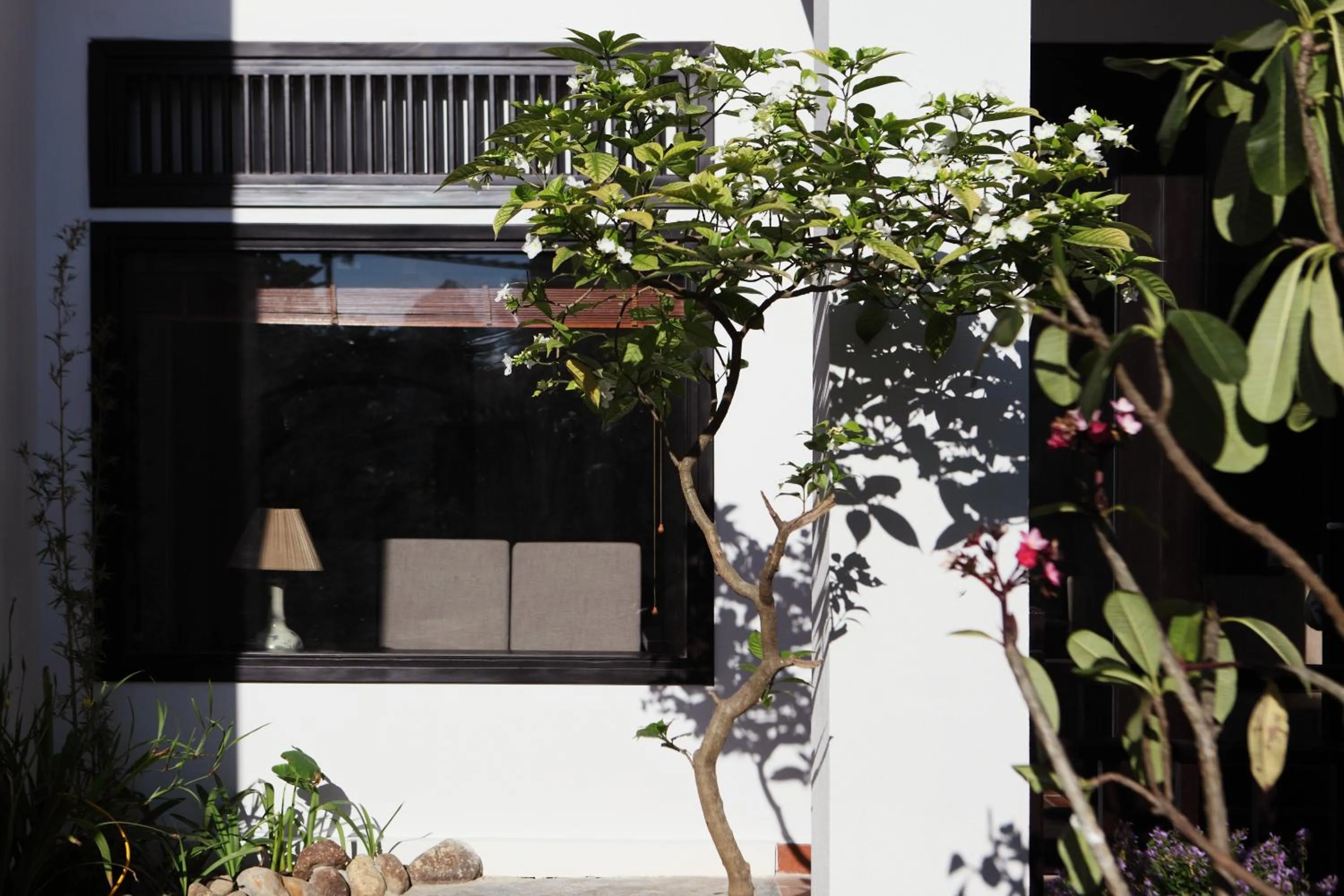 Garden in East West Villa