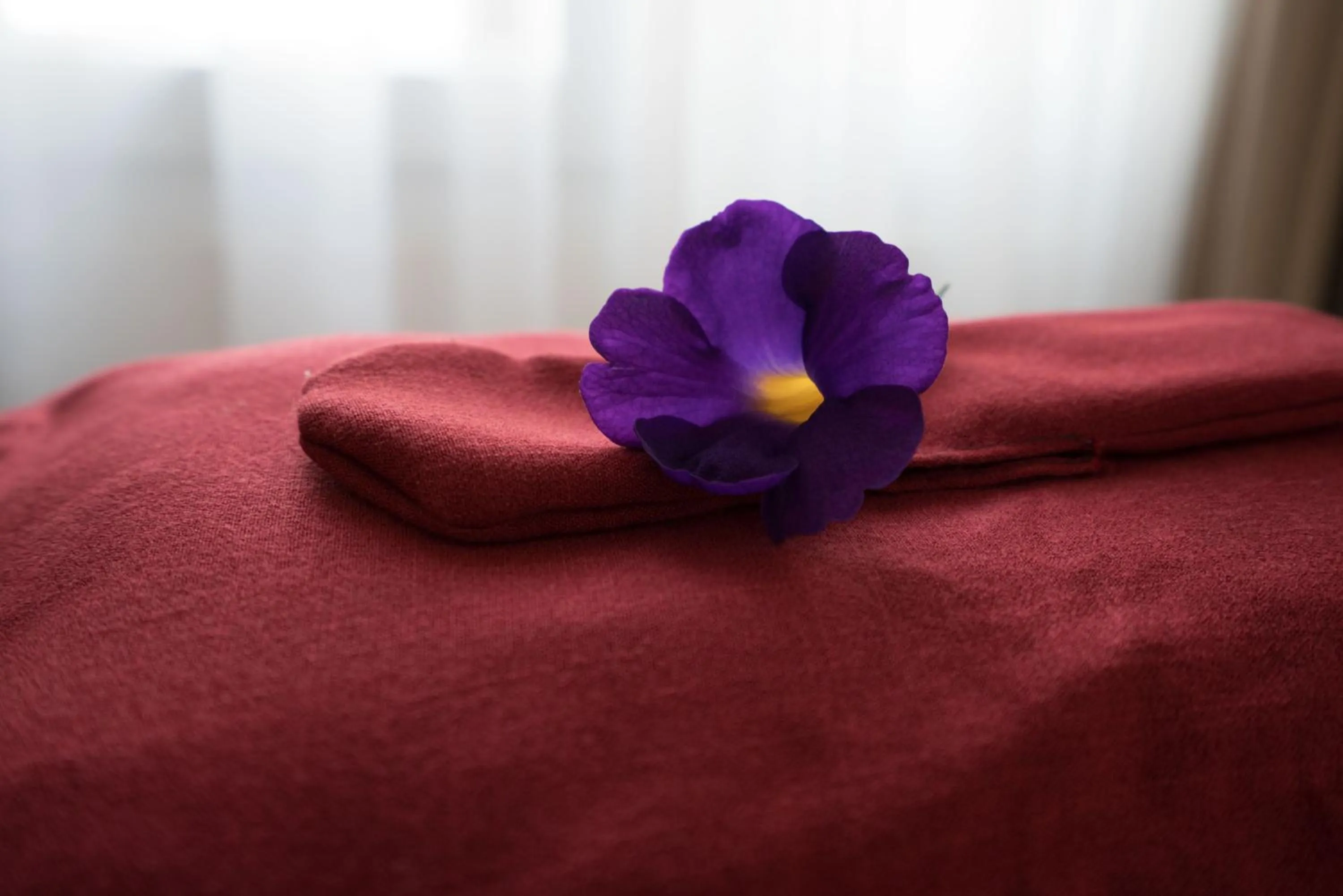 Spa and wellness centre/facilities, Bed in East West Villa