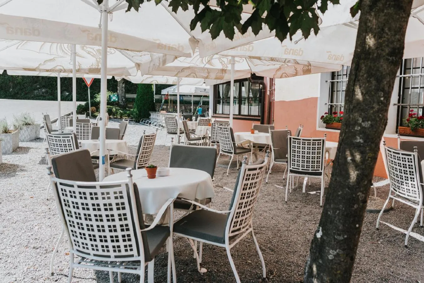 Patio in Guesthouse Bistra