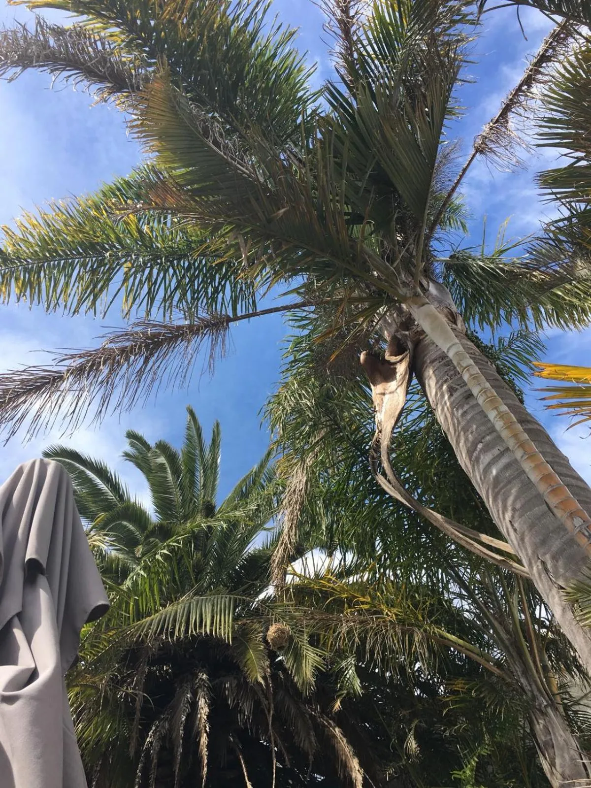 Garden in Oude Berg Guesthouse - 10 Caledon Street