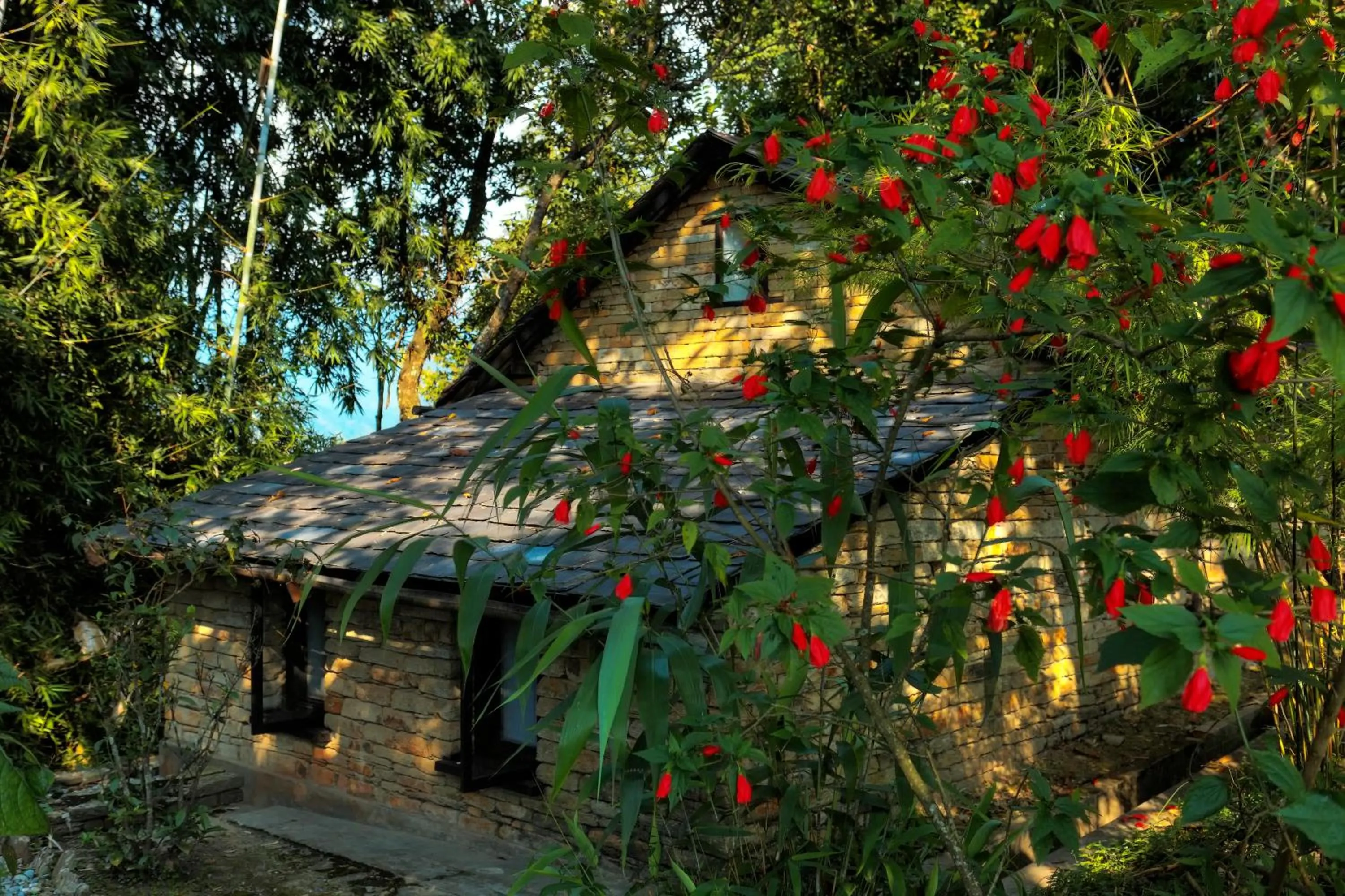 Other in Tiger Mountain Pokhara Lodge