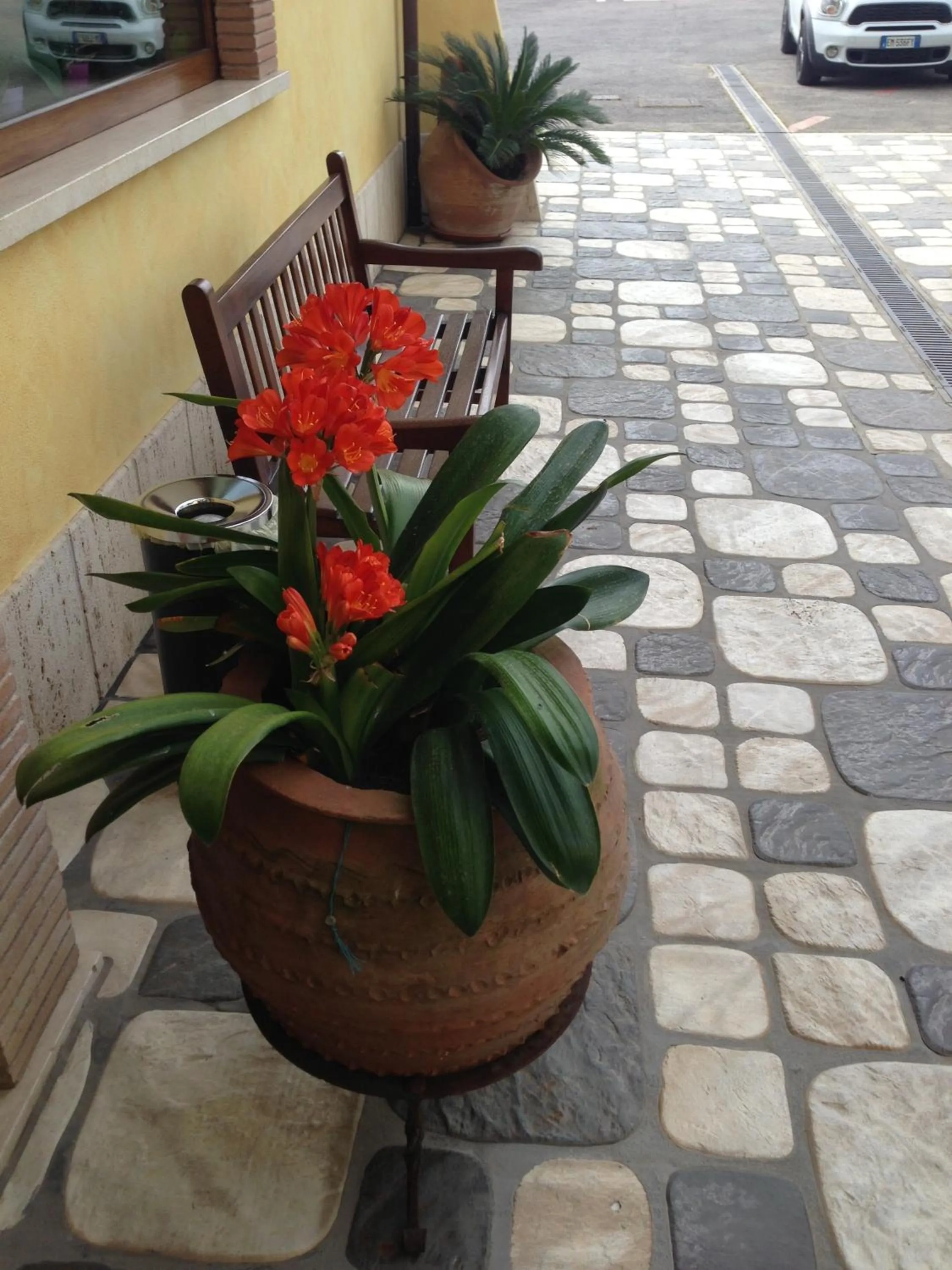 Garden in La Locanda del Cavaliere