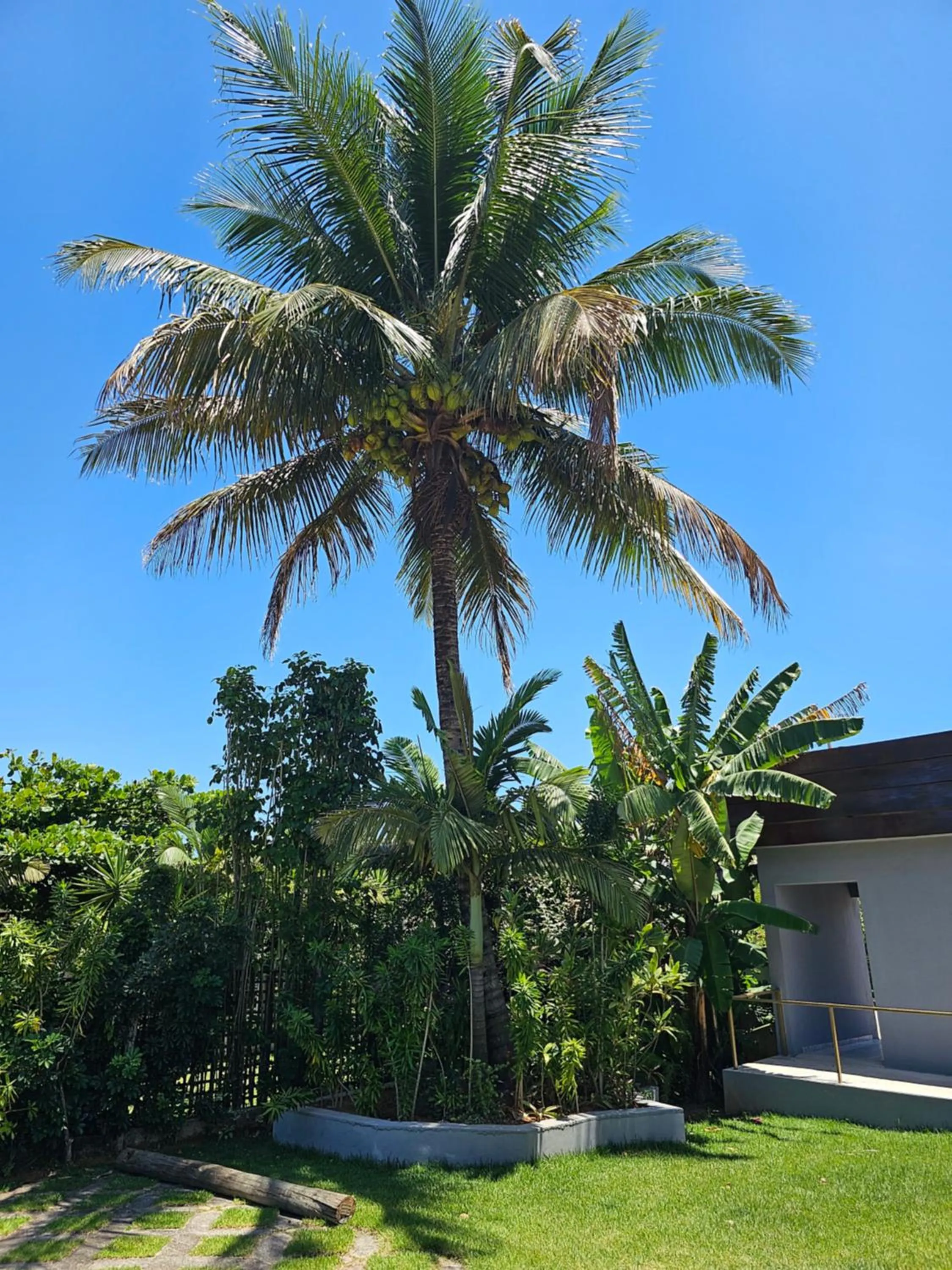Natural landscape in HOTEL INDIANO