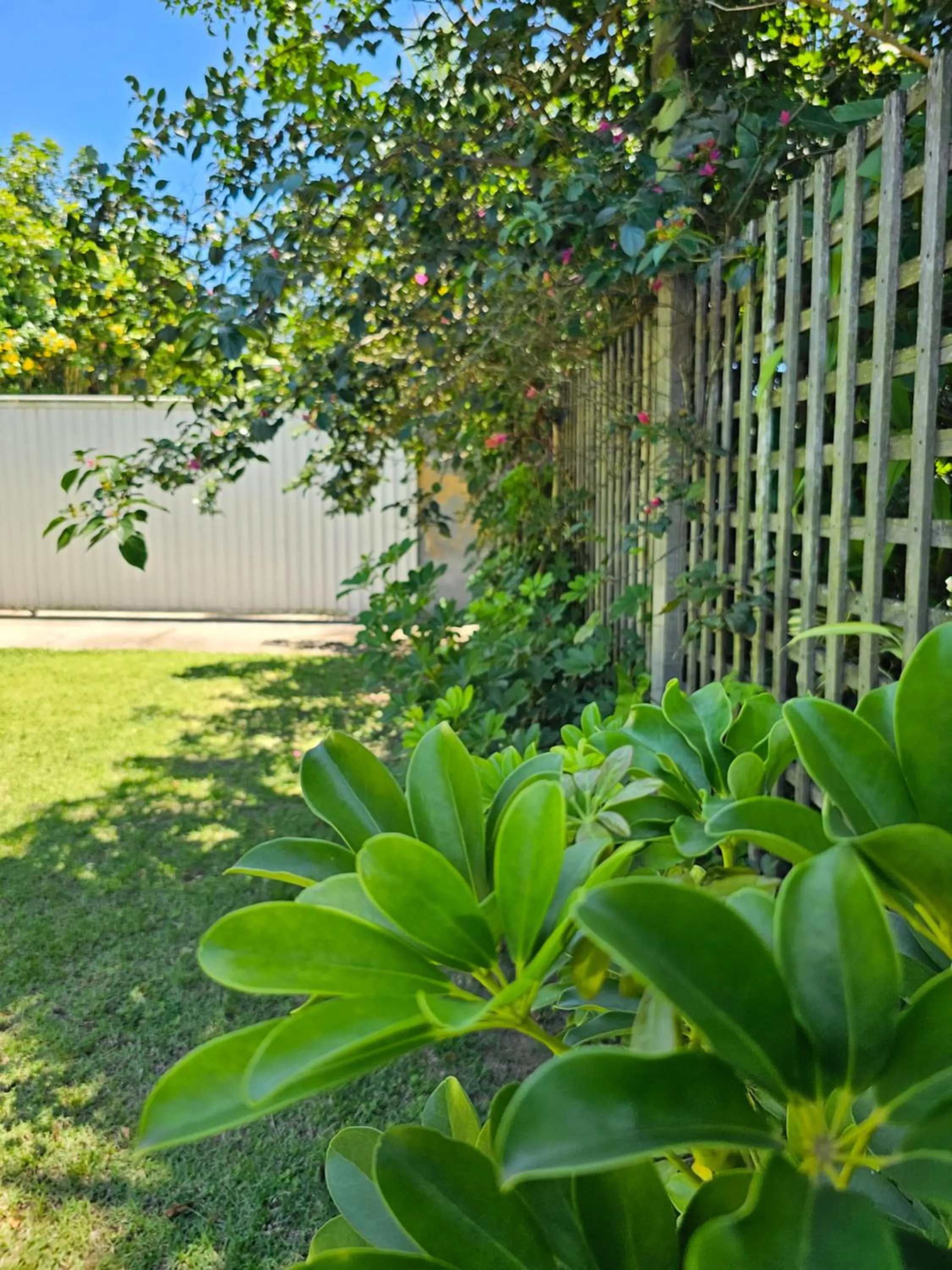 Garden in HOTEL INDIANO
