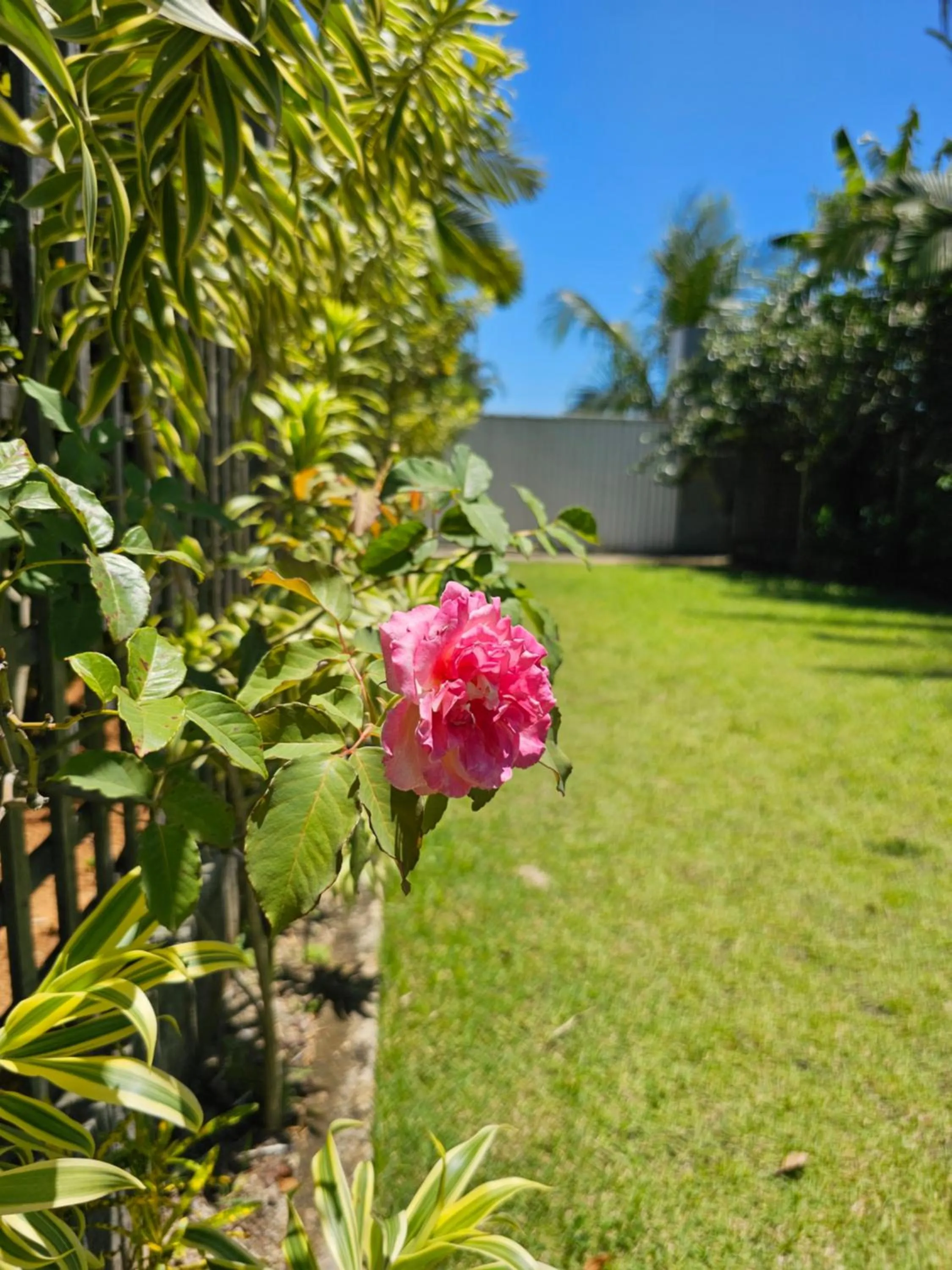 Spring in HOTEL INDIANO