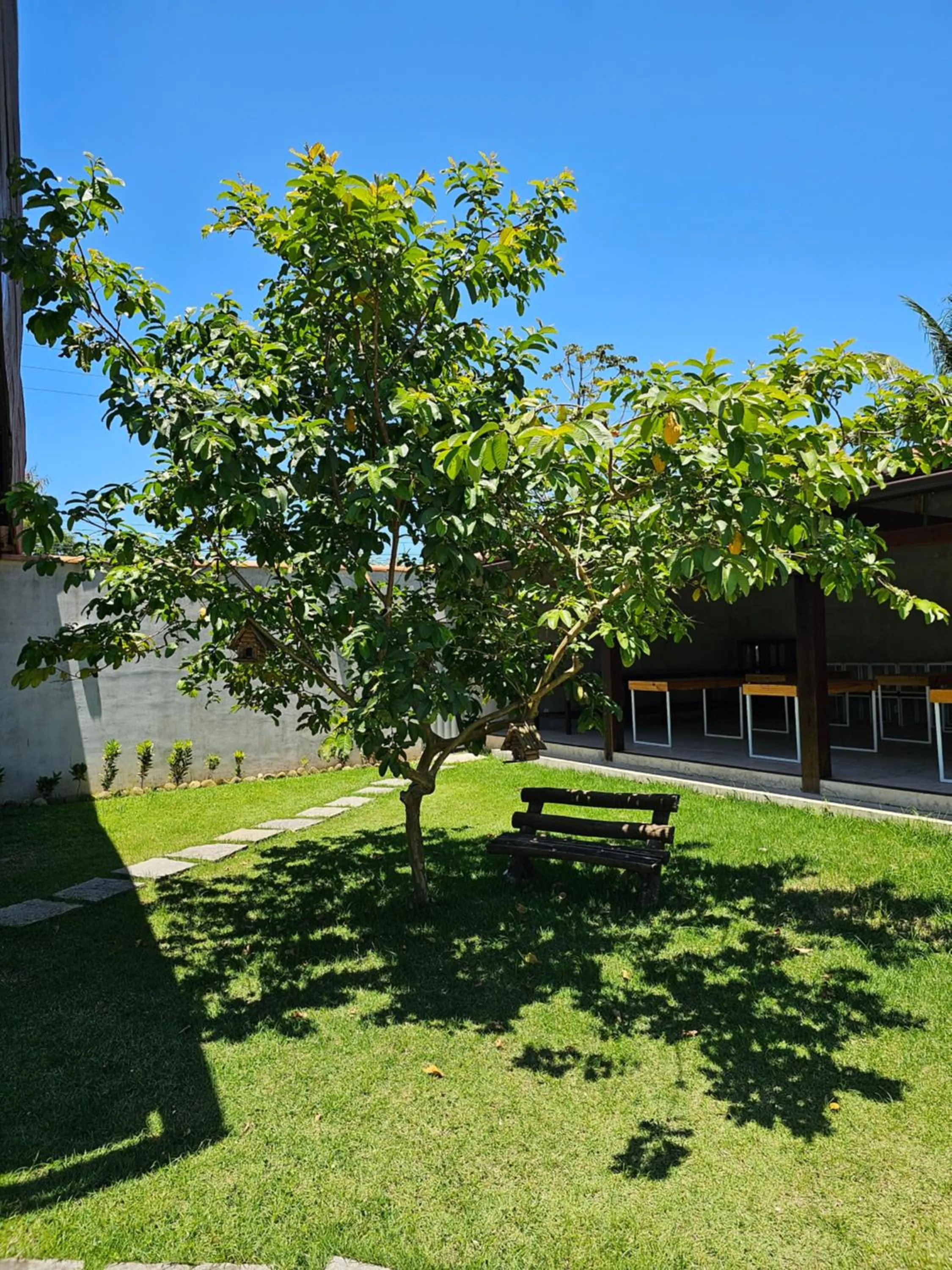Garden in HOTEL INDIANO