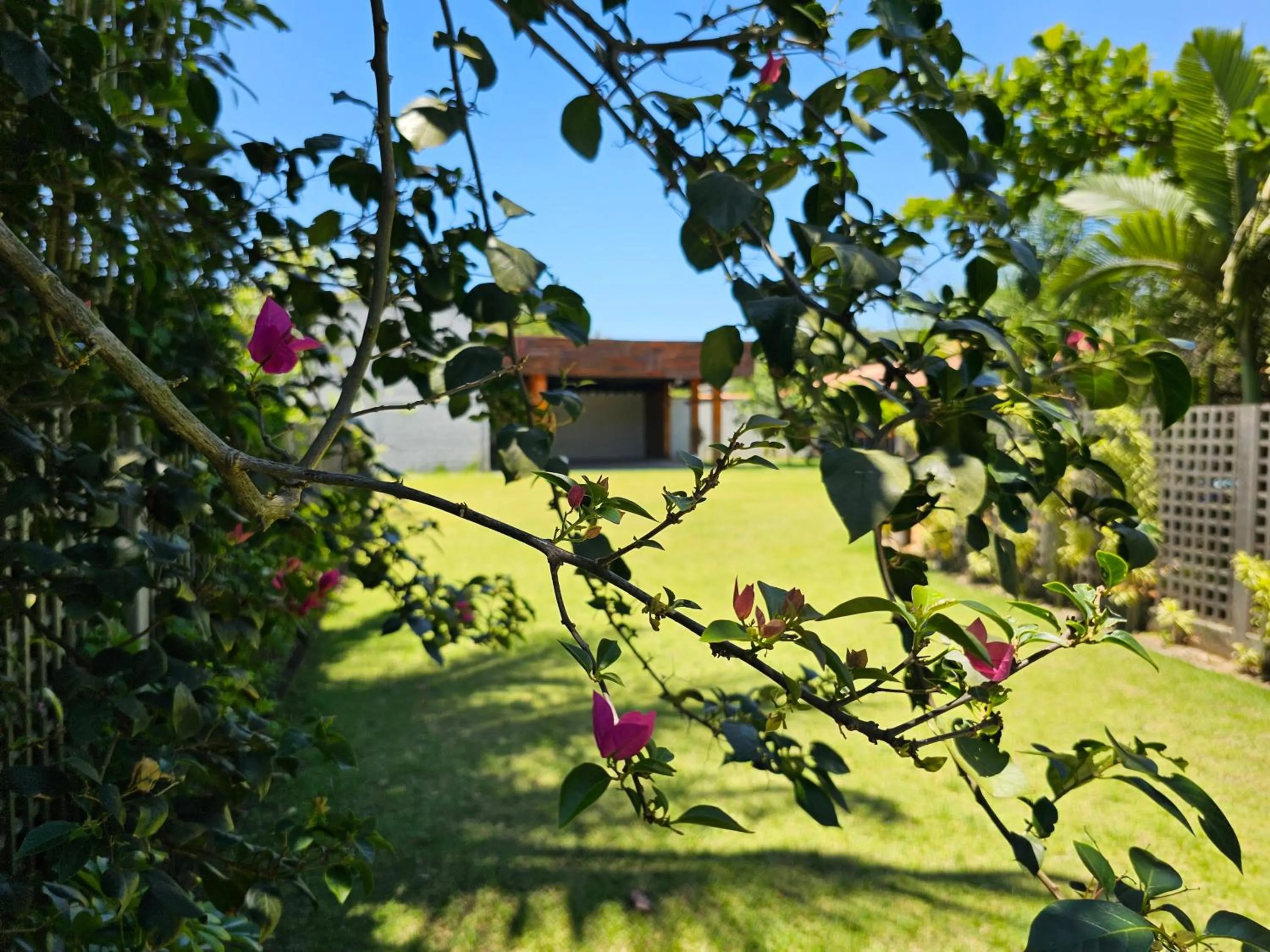 Spring in HOTEL INDIANO