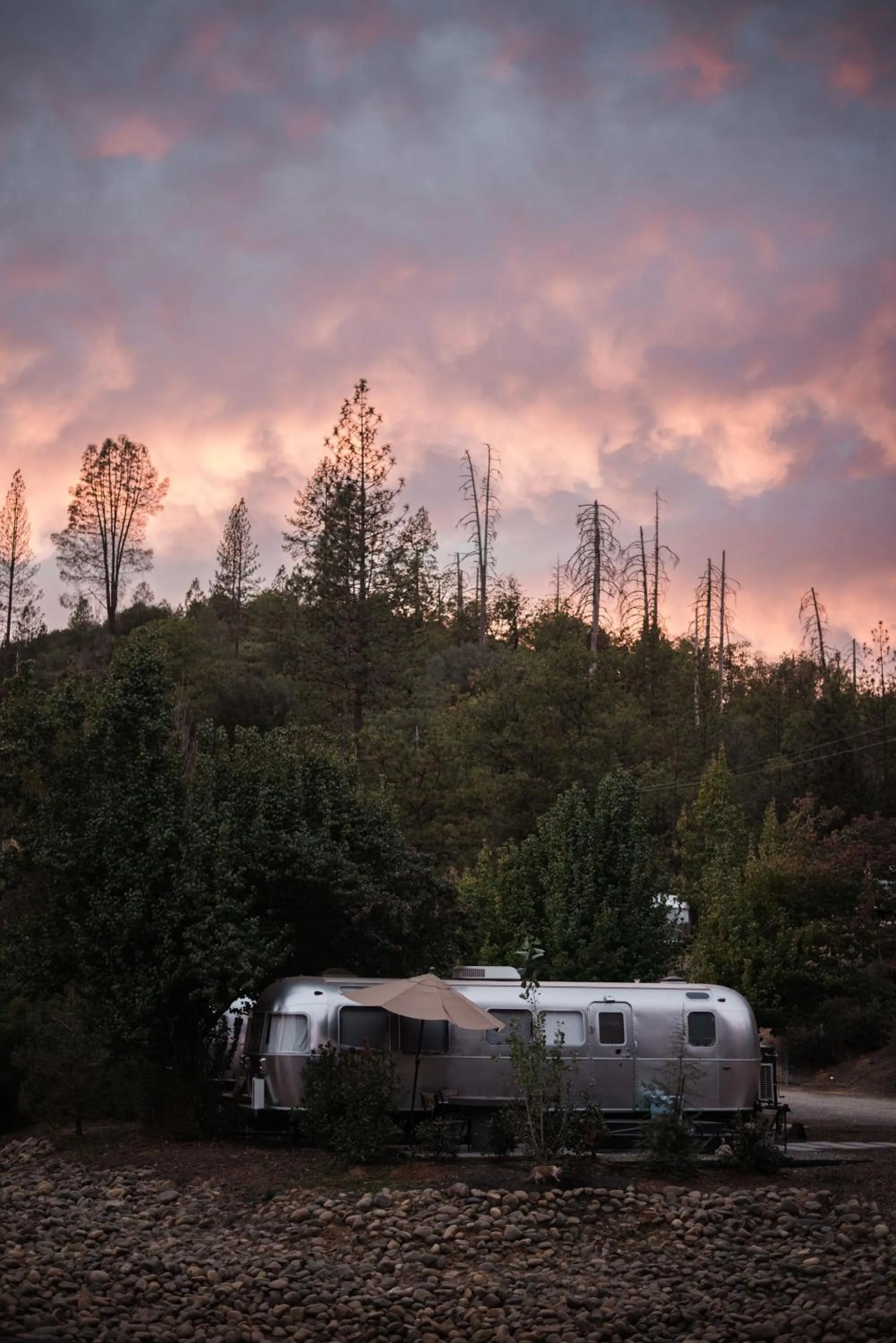 Lounge or bar in AutoCamp Asheville