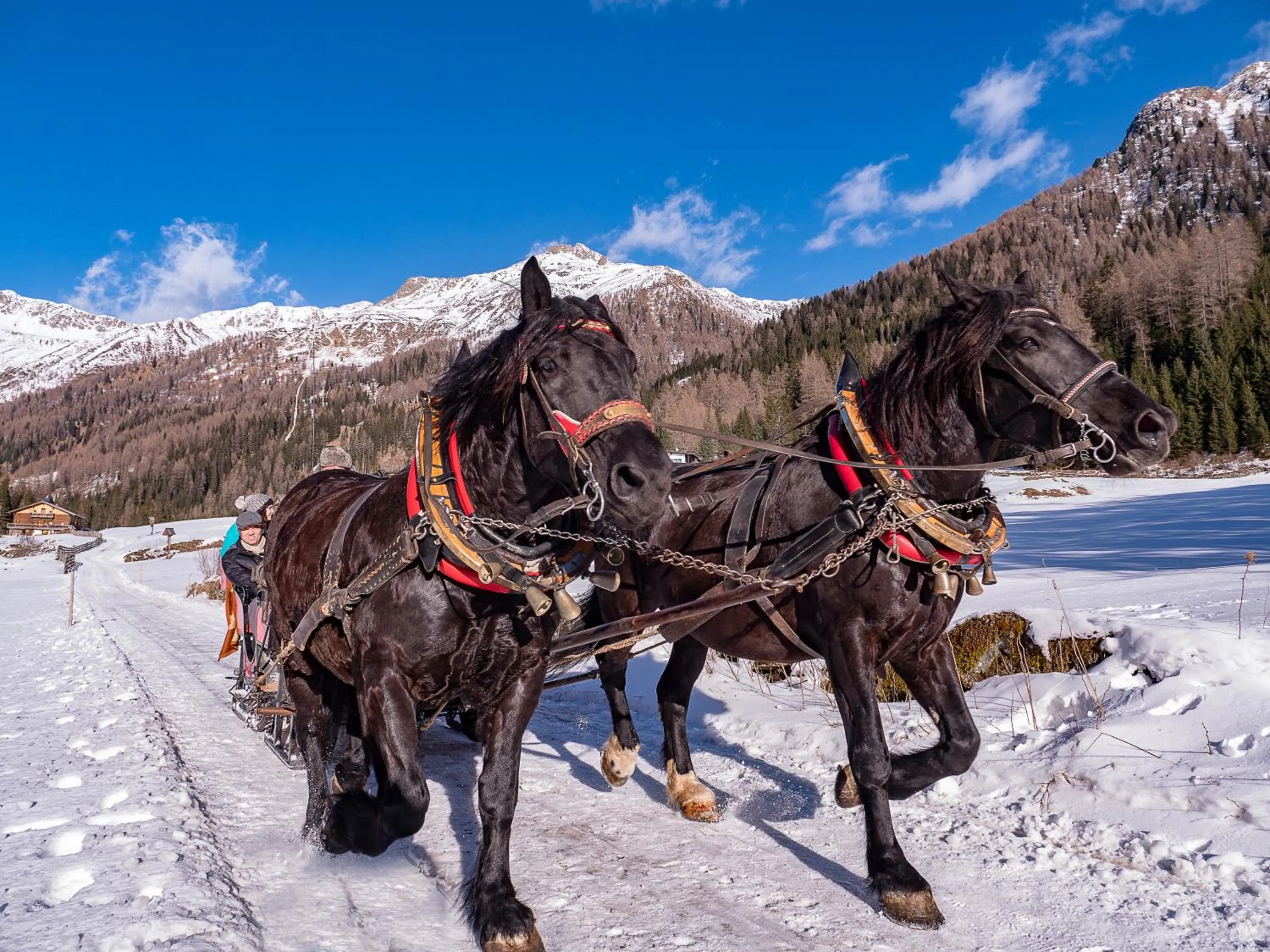 Activities in Der Brückenwirt