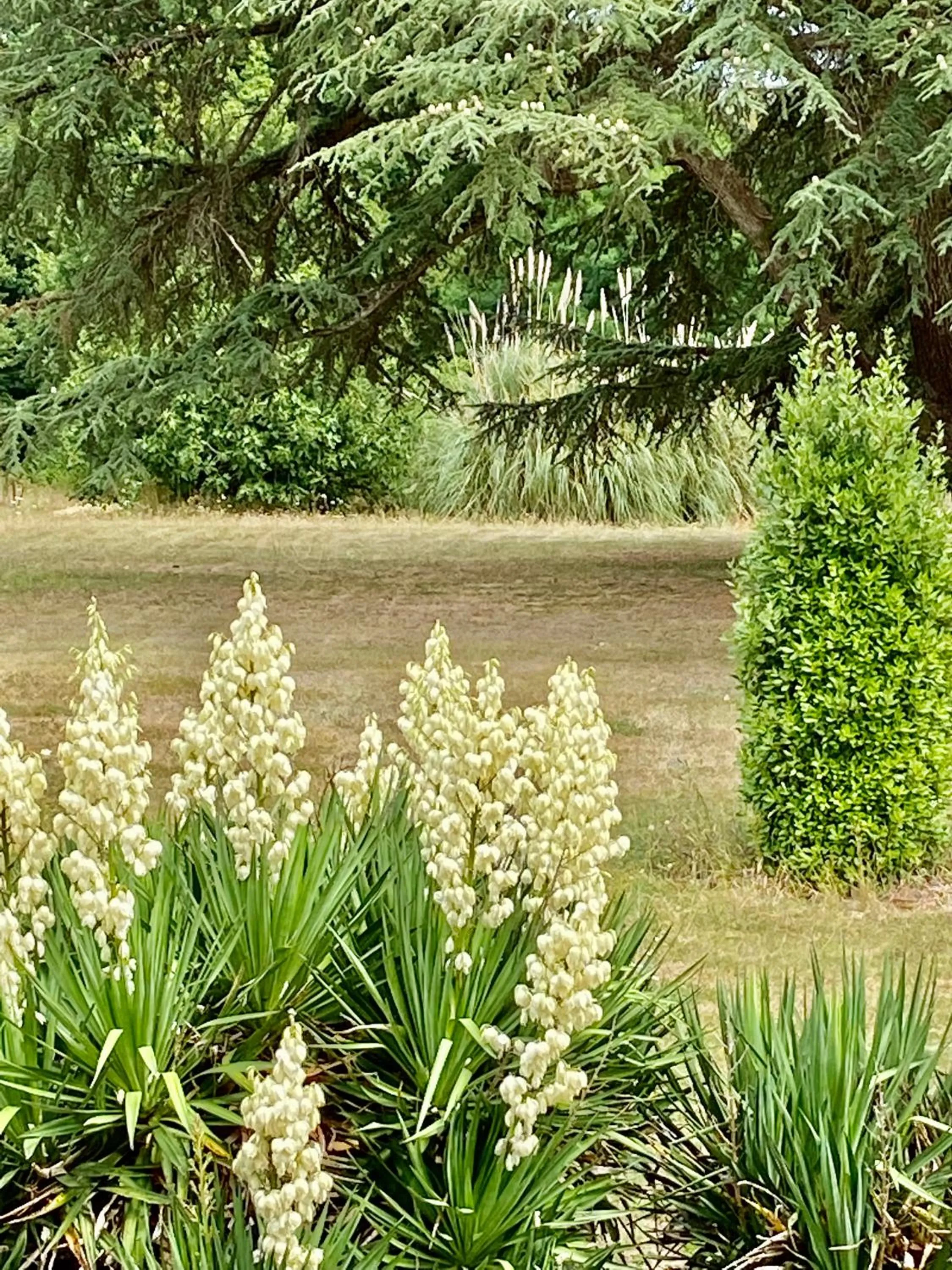 Château La Bainerie