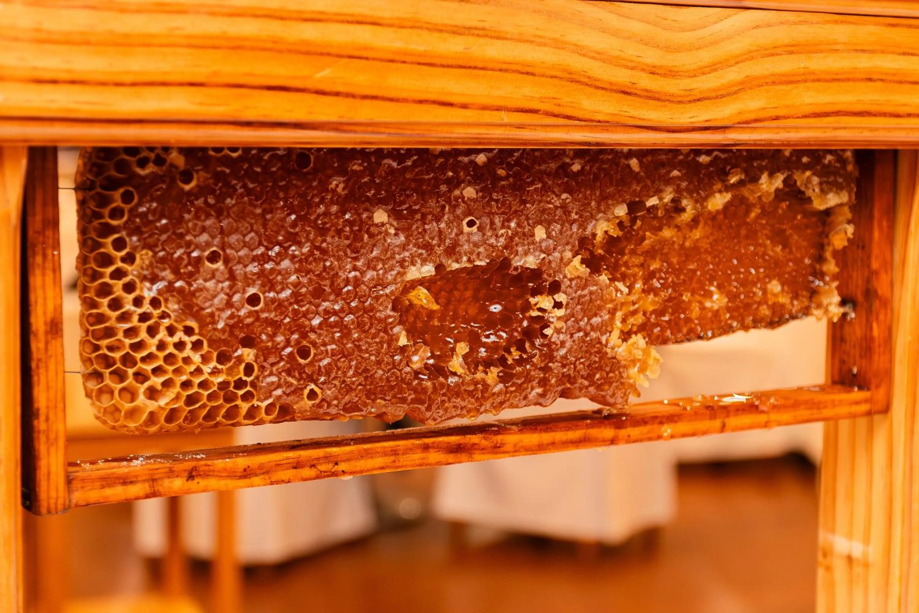 Breakfast in BIO Hotel - Hotel Quinta da Serra