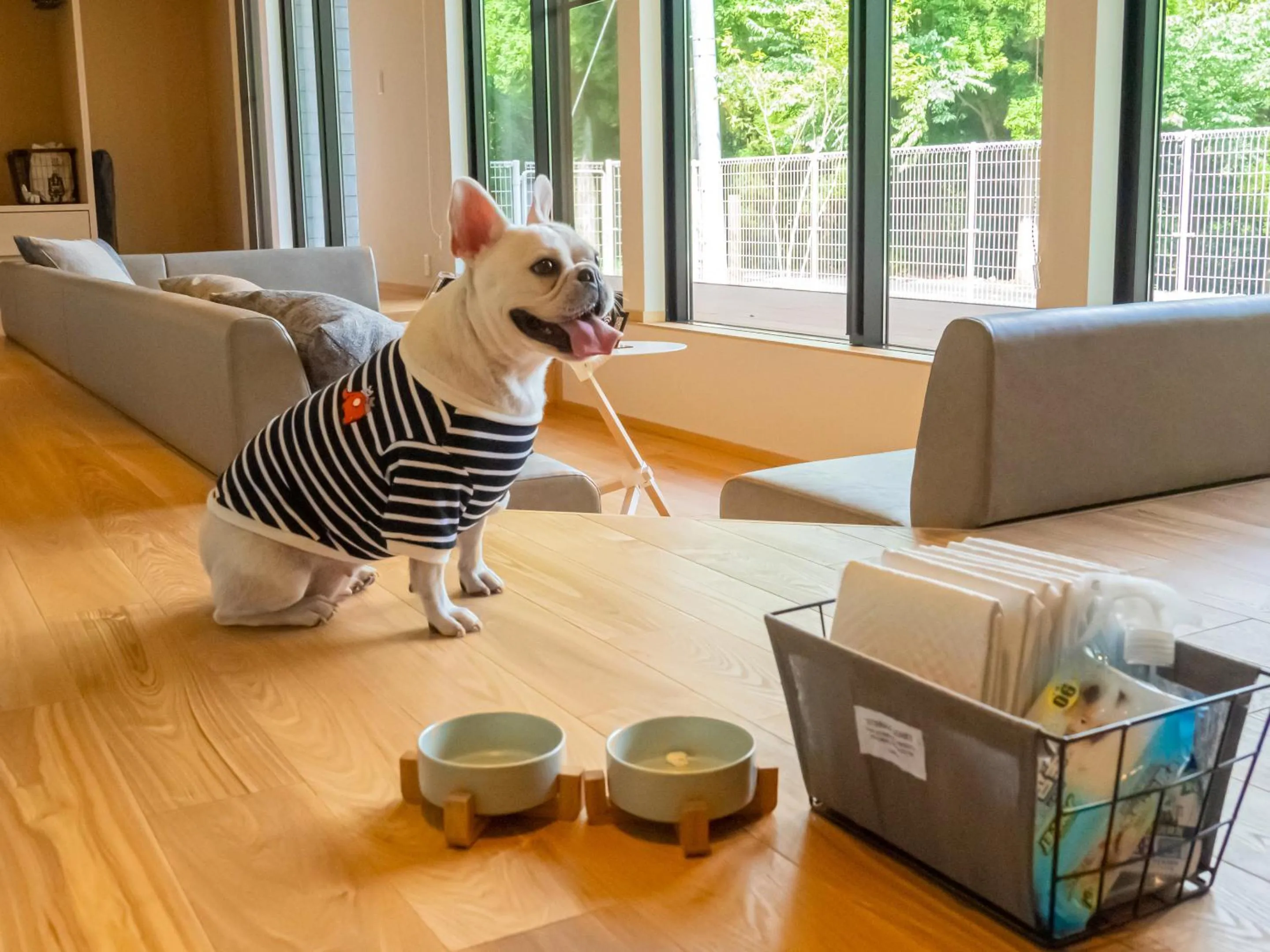 Animals in Rakuten STAY VILLA Aso Kurokawa