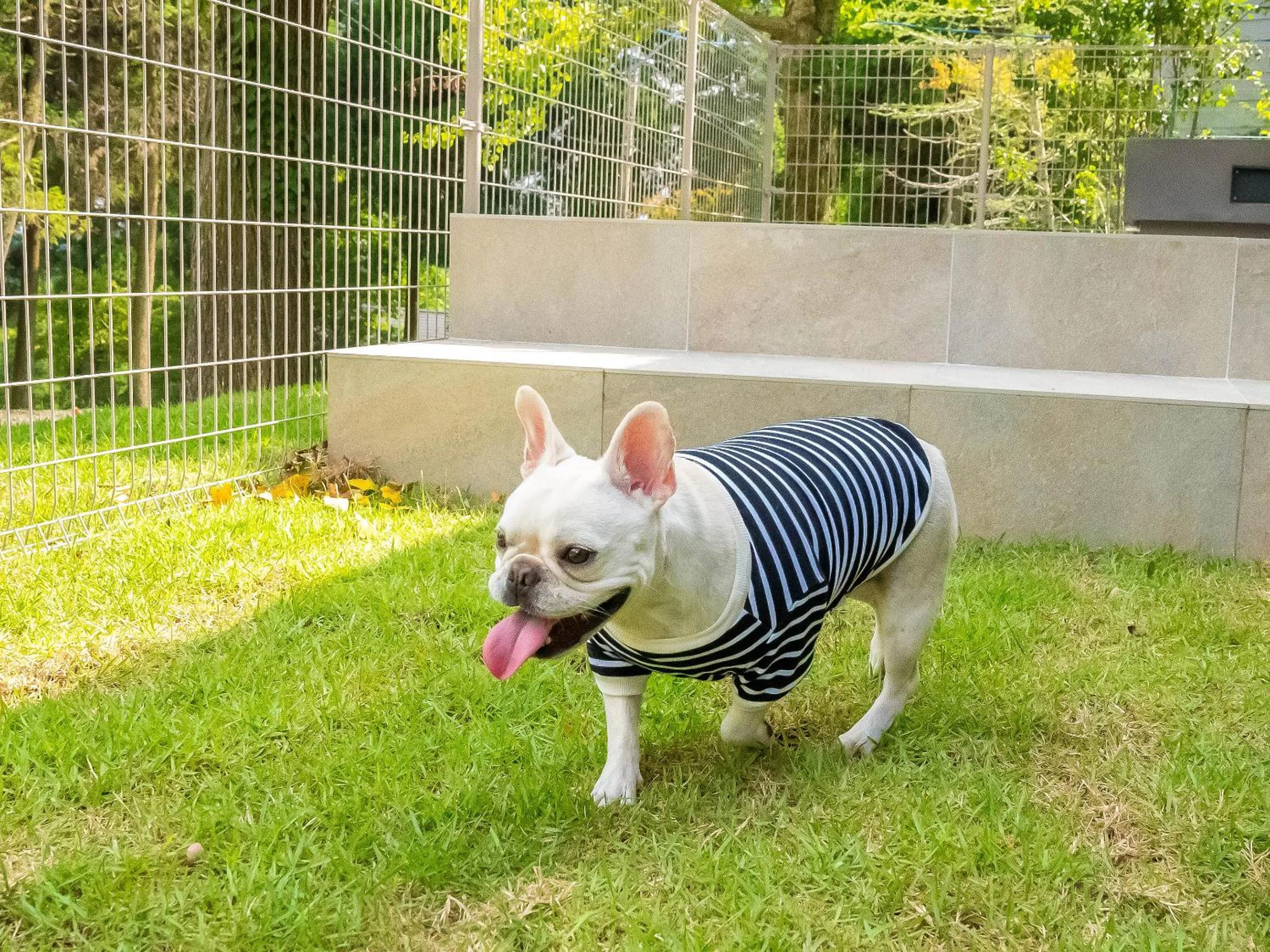 Pets in Rakuten STAY VILLA Aso Kurokawa