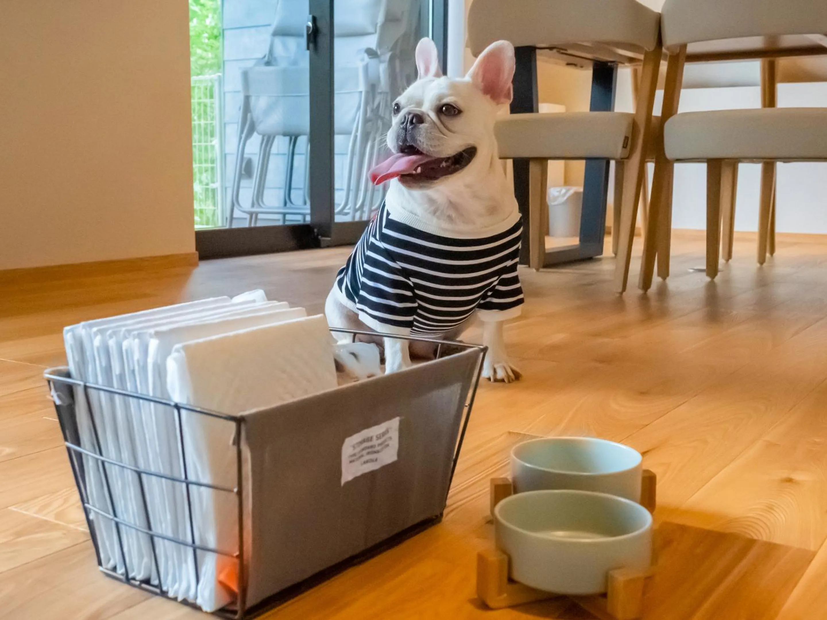 Pets in Rakuten STAY VILLA Aso Kurokawa