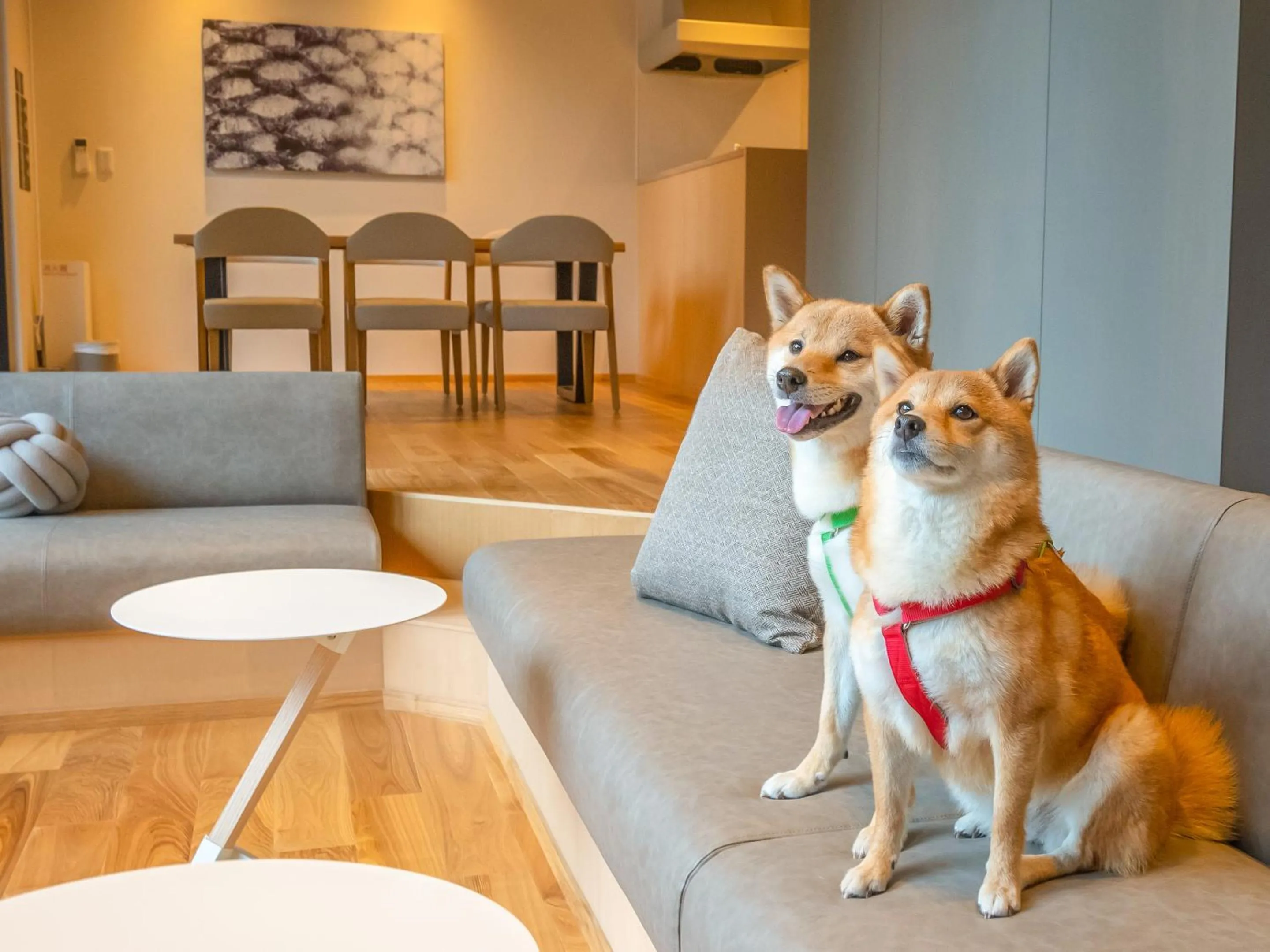 Animals in Rakuten STAY VILLA Aso Kurokawa