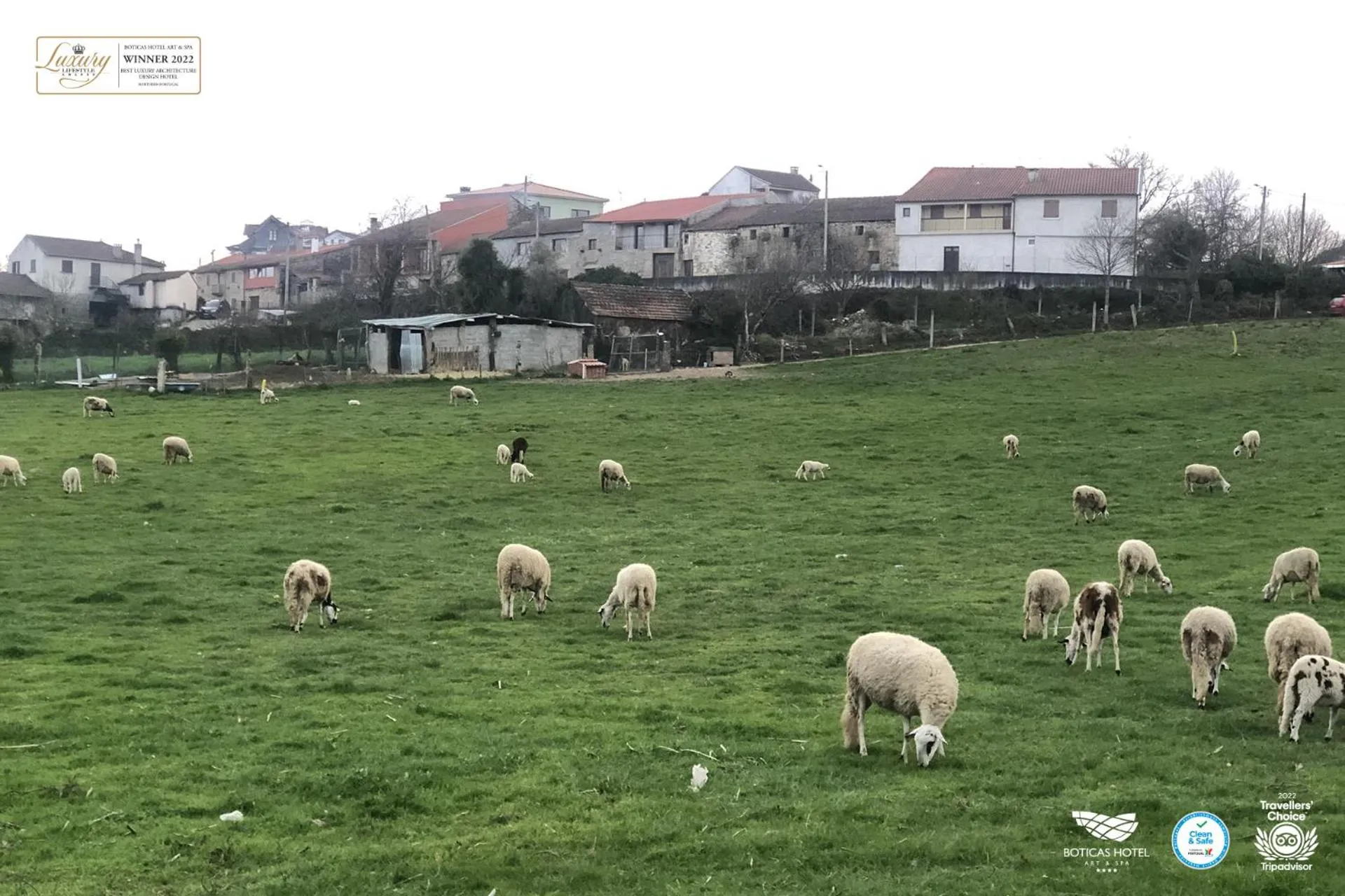 Off site in Boticas Hotel Art & SPA