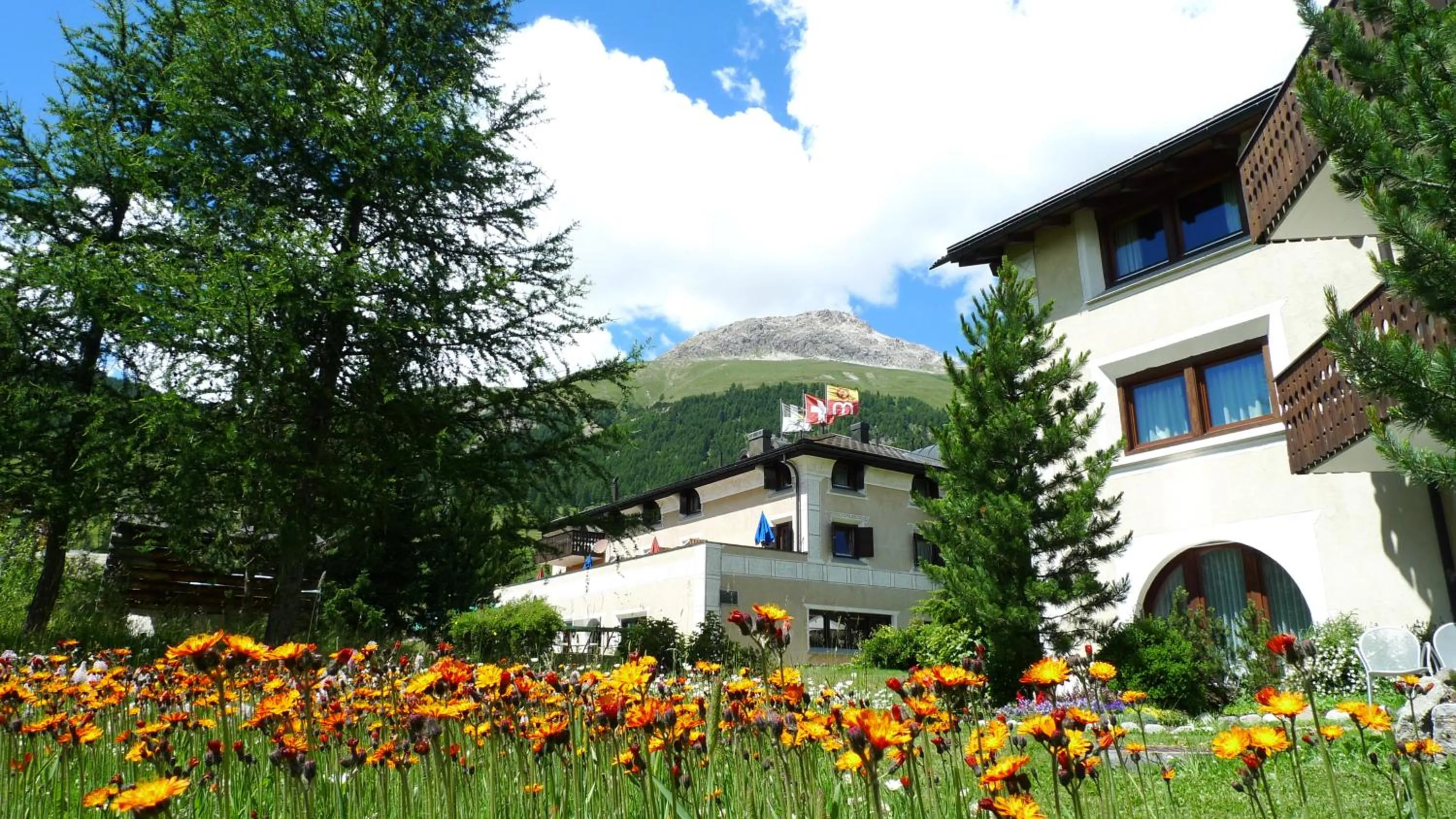 Garden in Hotel Saluver