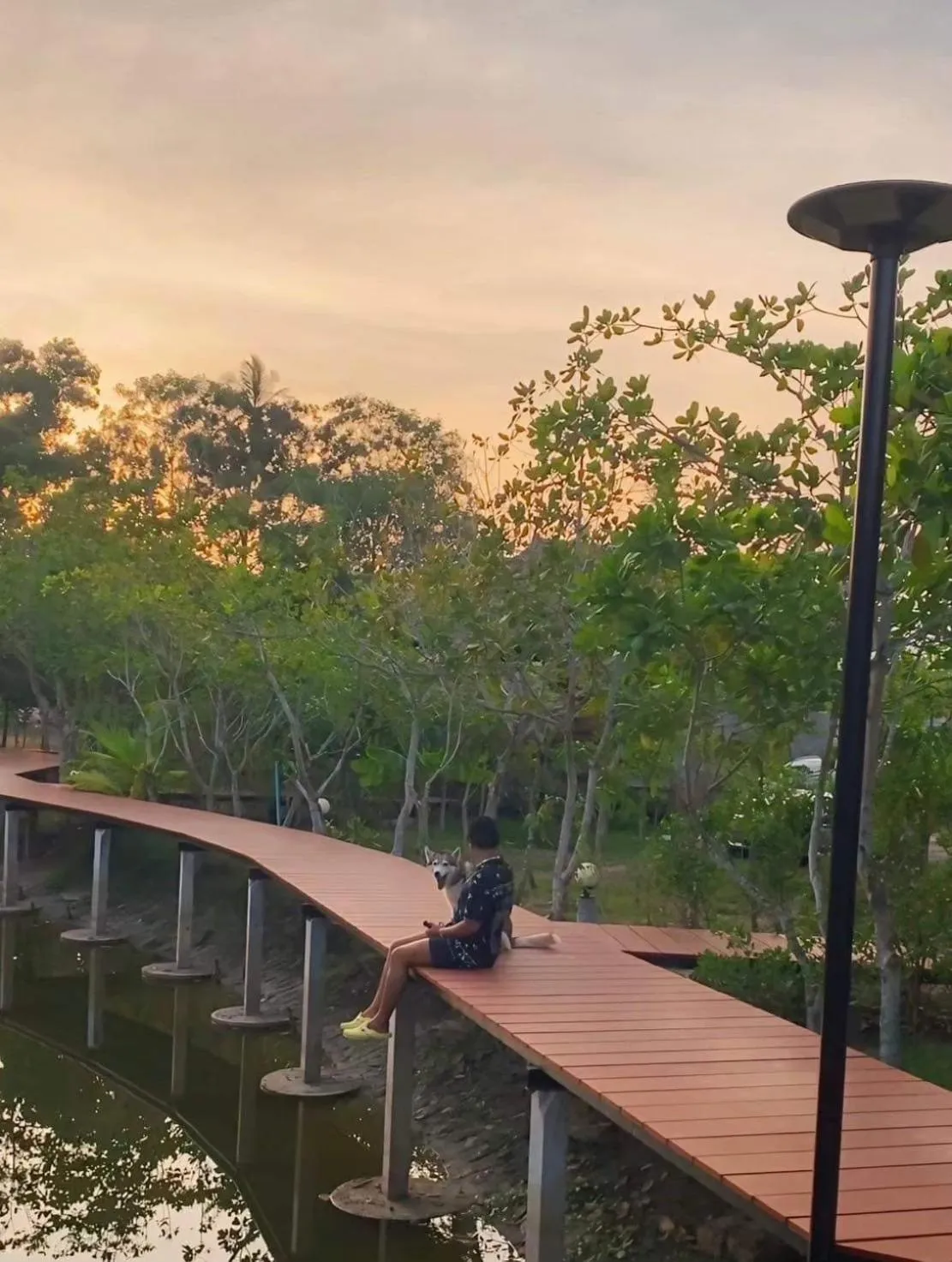 Street view in The Beatles Lagoon