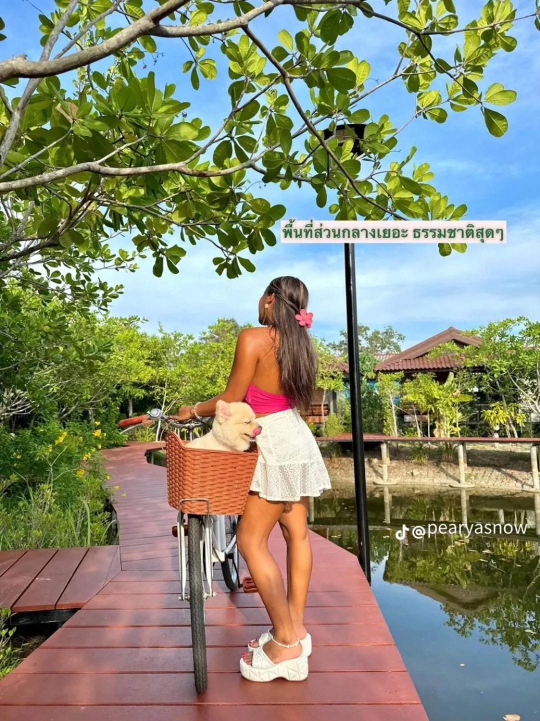 Property building in The Beatles Lagoon