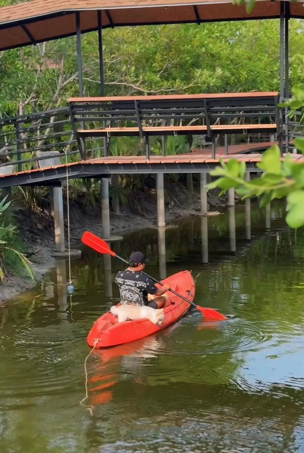 River view in The Beatles Lagoon