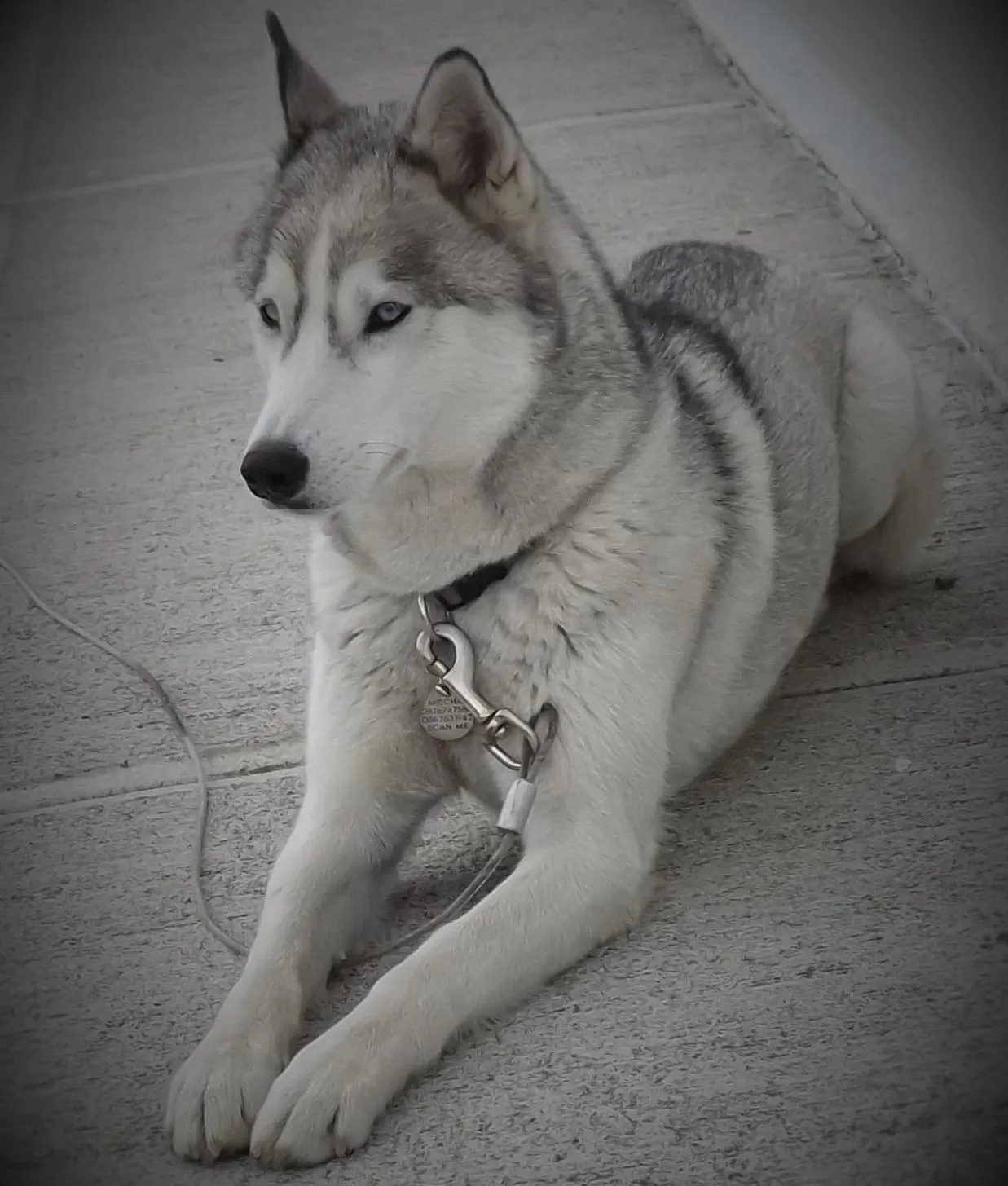 Day in Cois Na hAbhann