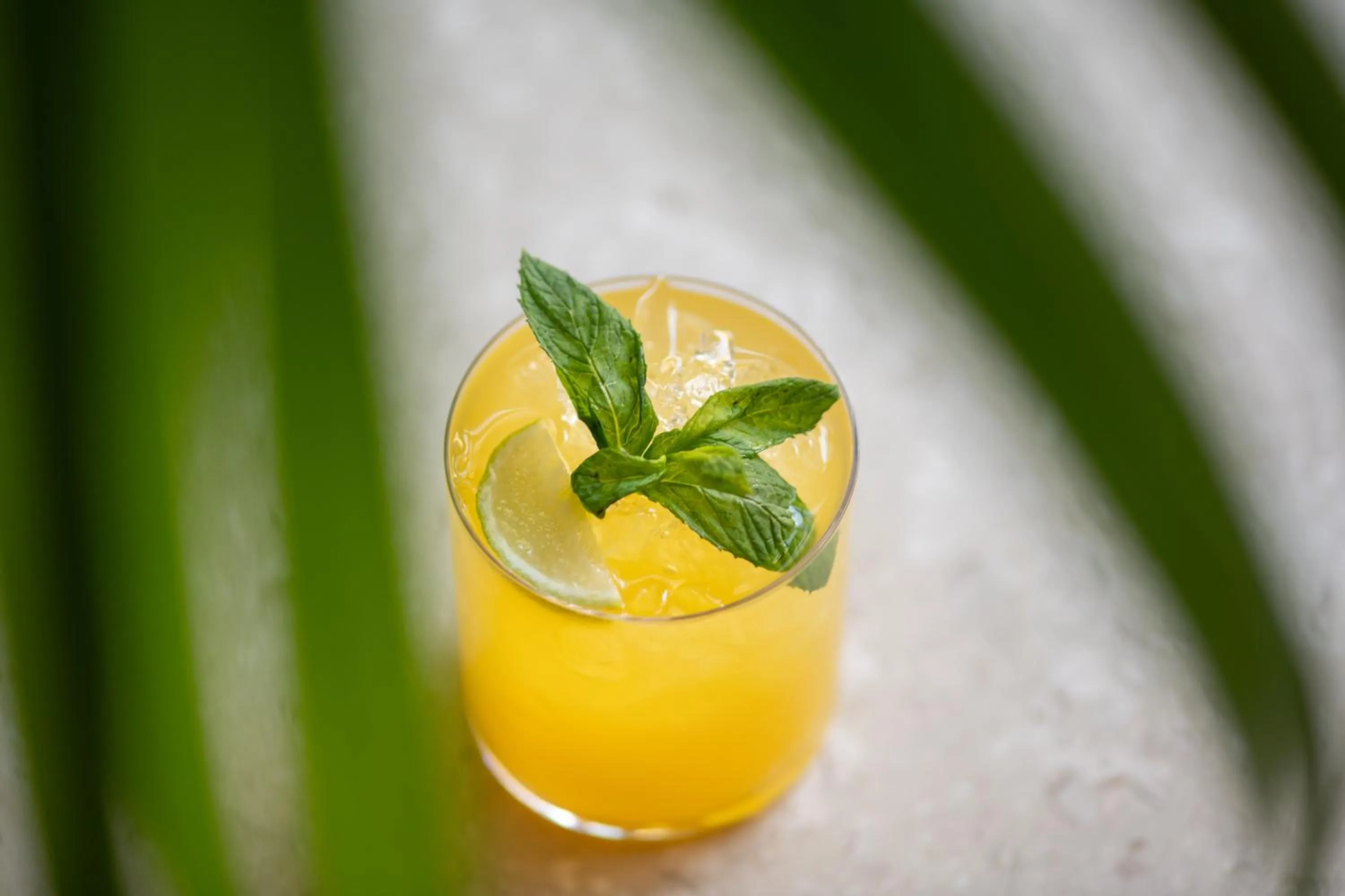 Drinks in Mitsis N'U Piraeus Port