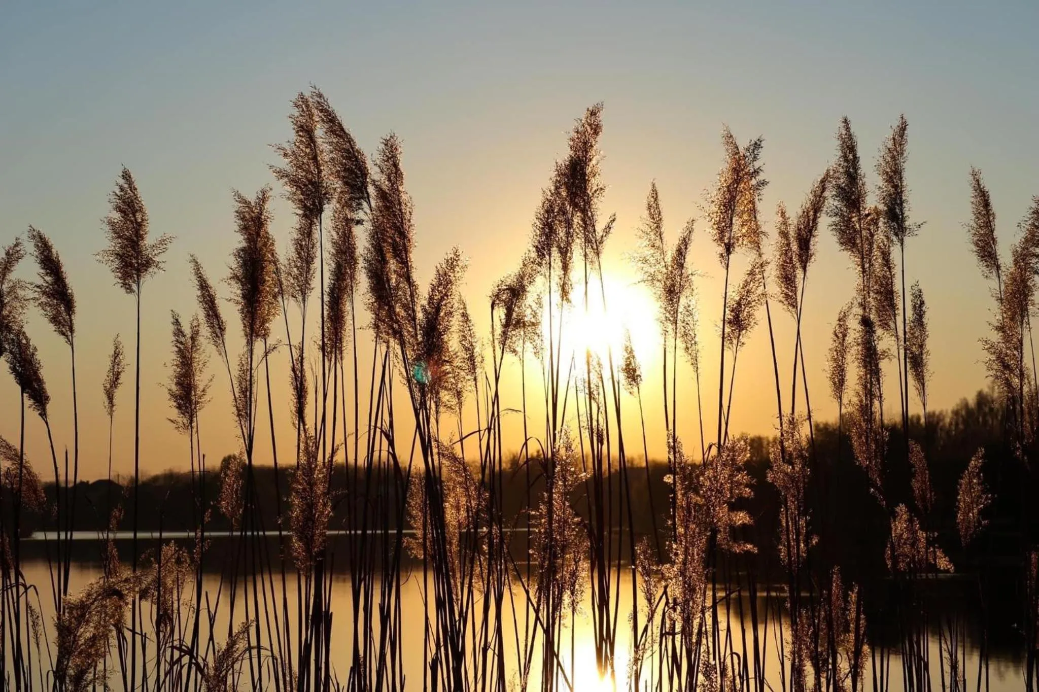 Natural landscape in Barack Thermal Hotel and Spa