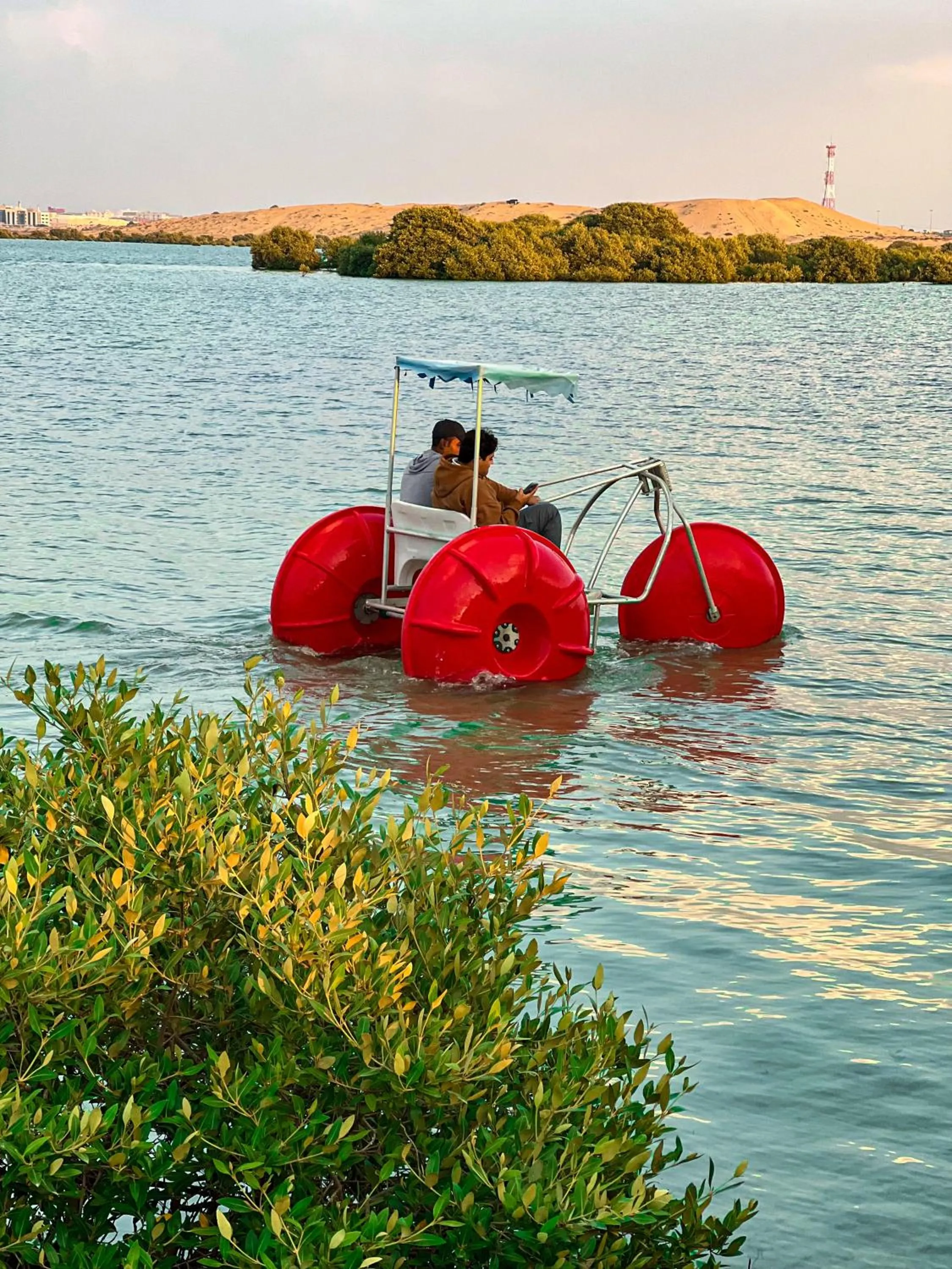 Natural landscape in Casa Mikoko Resort